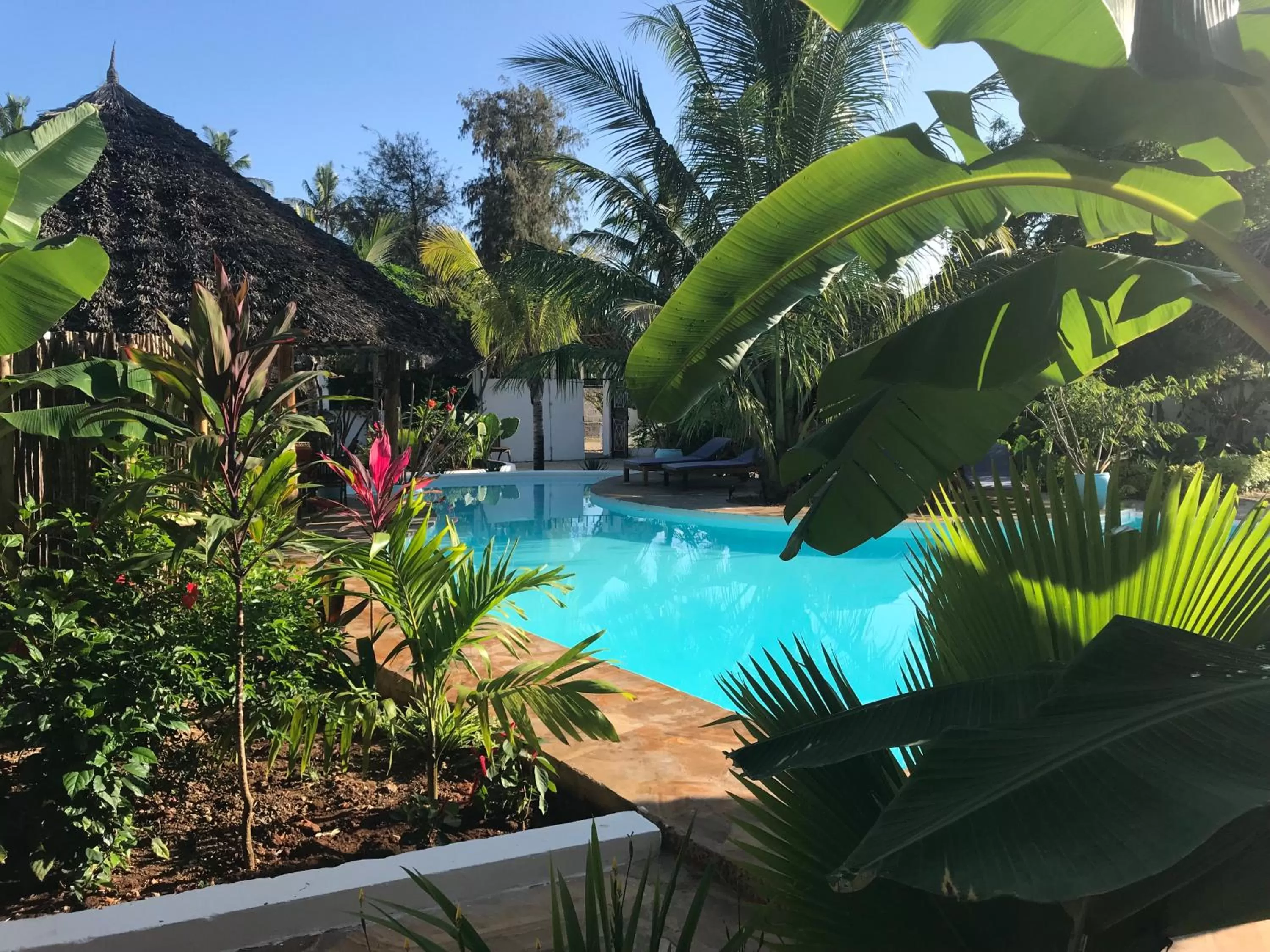 Garden, Swimming Pool in Aluna Nungwi