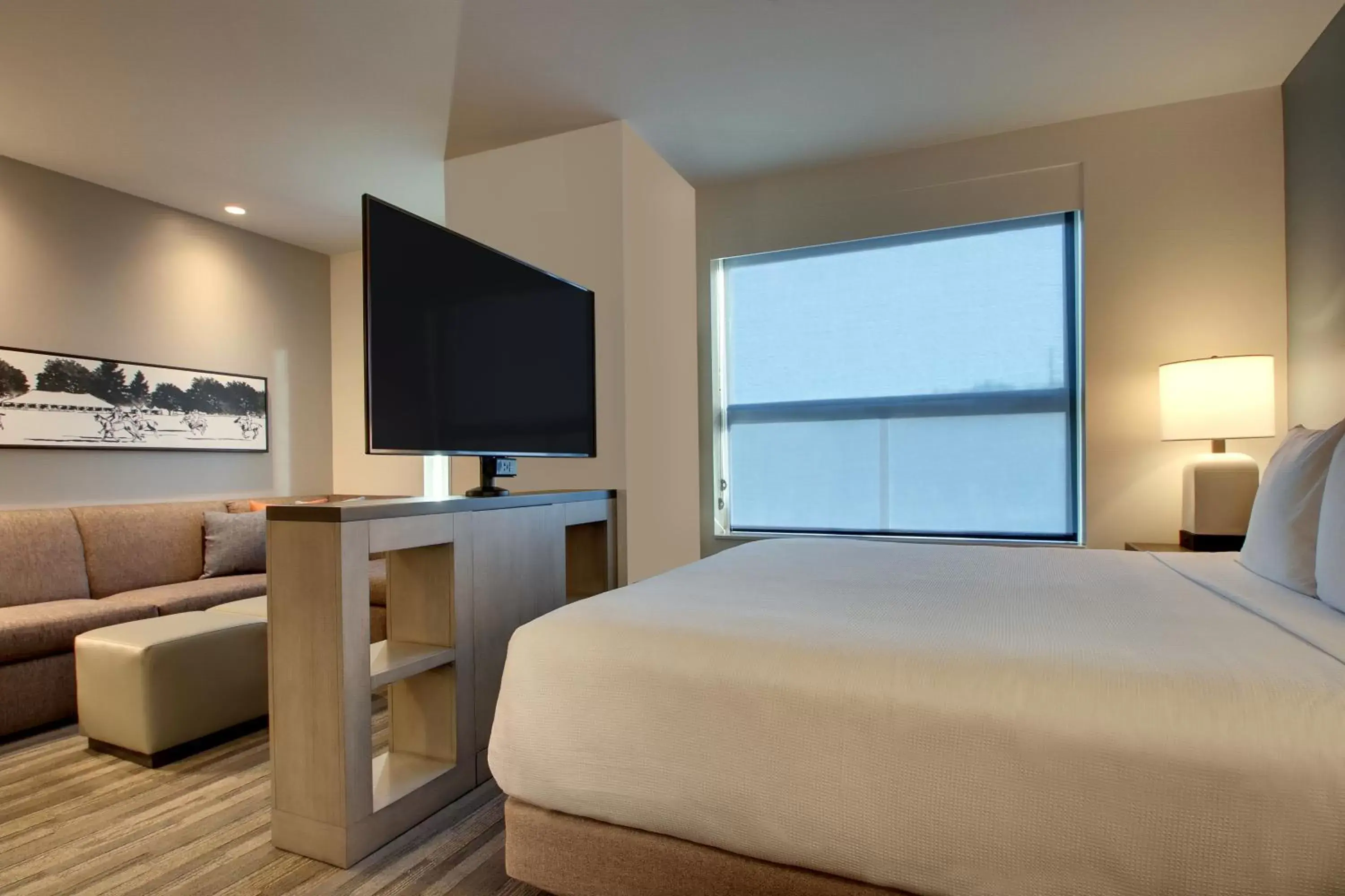 King Studio Suite with Sofa Bed and Roll-In Shower - Disability Access in Hyatt House Oak Brook King Studio Suite with Sofa Bed and Roll-In Shower - Disability Access in Hyatt House Oak Brook