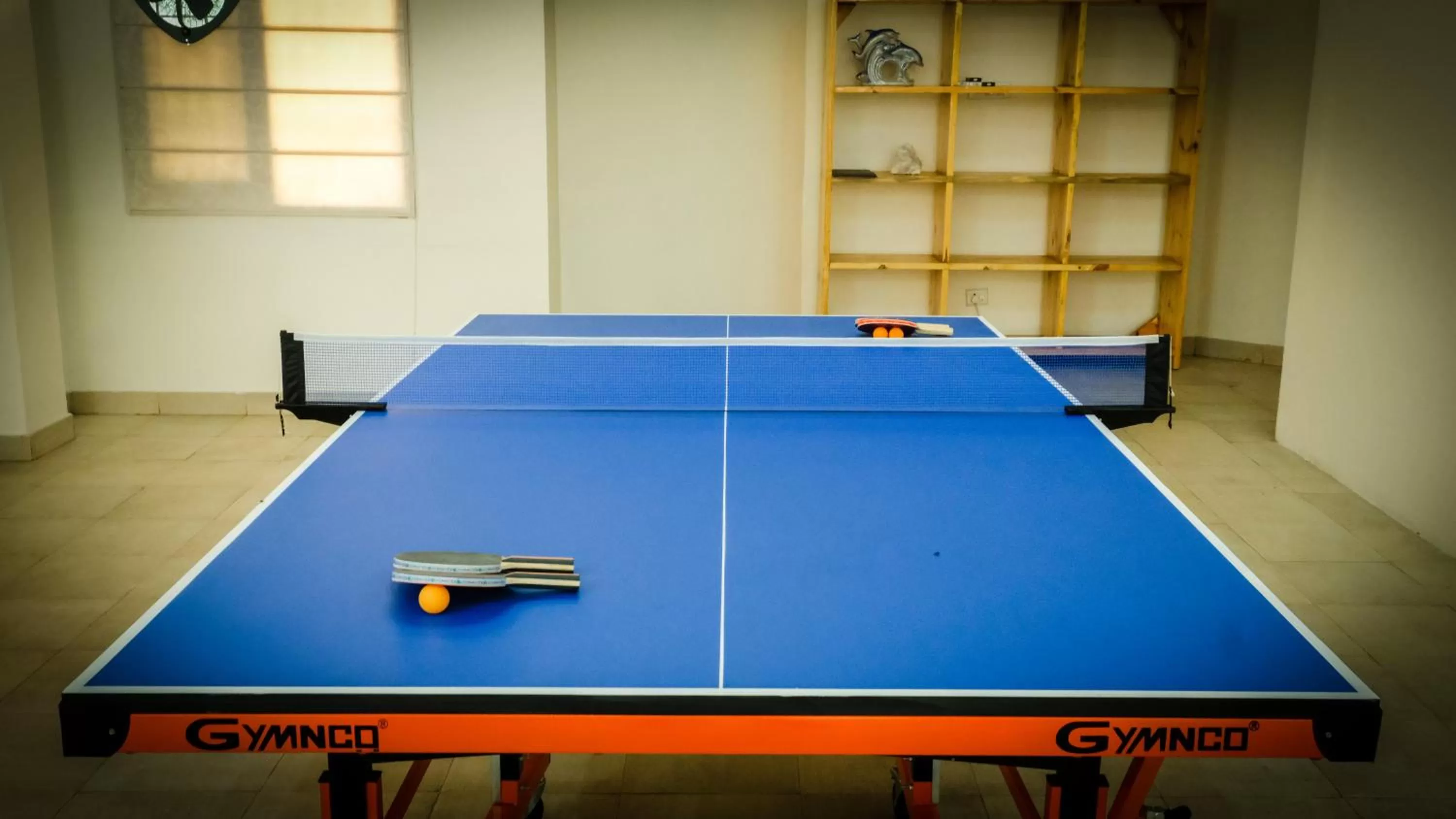 Activities in The Wild Yak