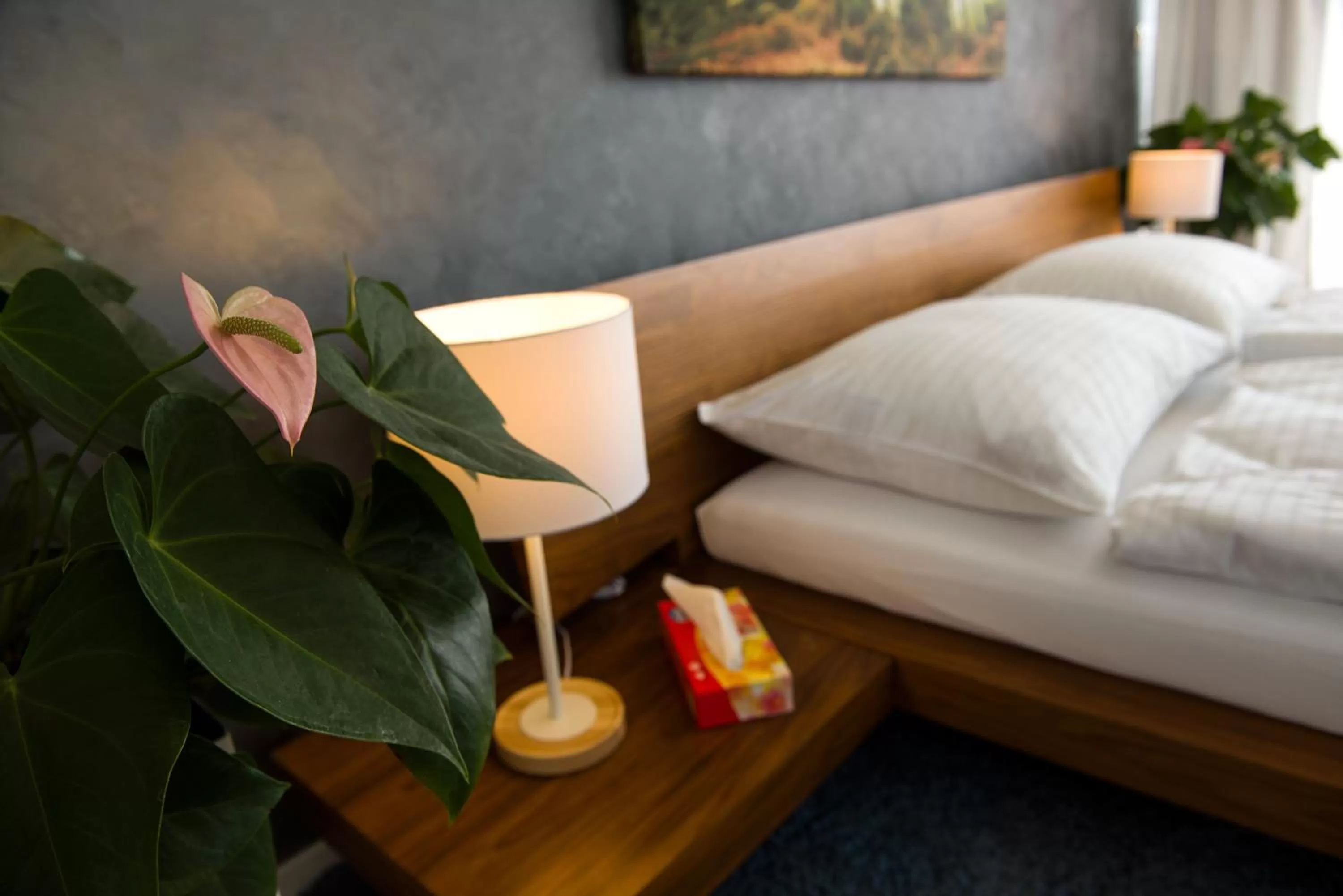 Bed in More Than Stay