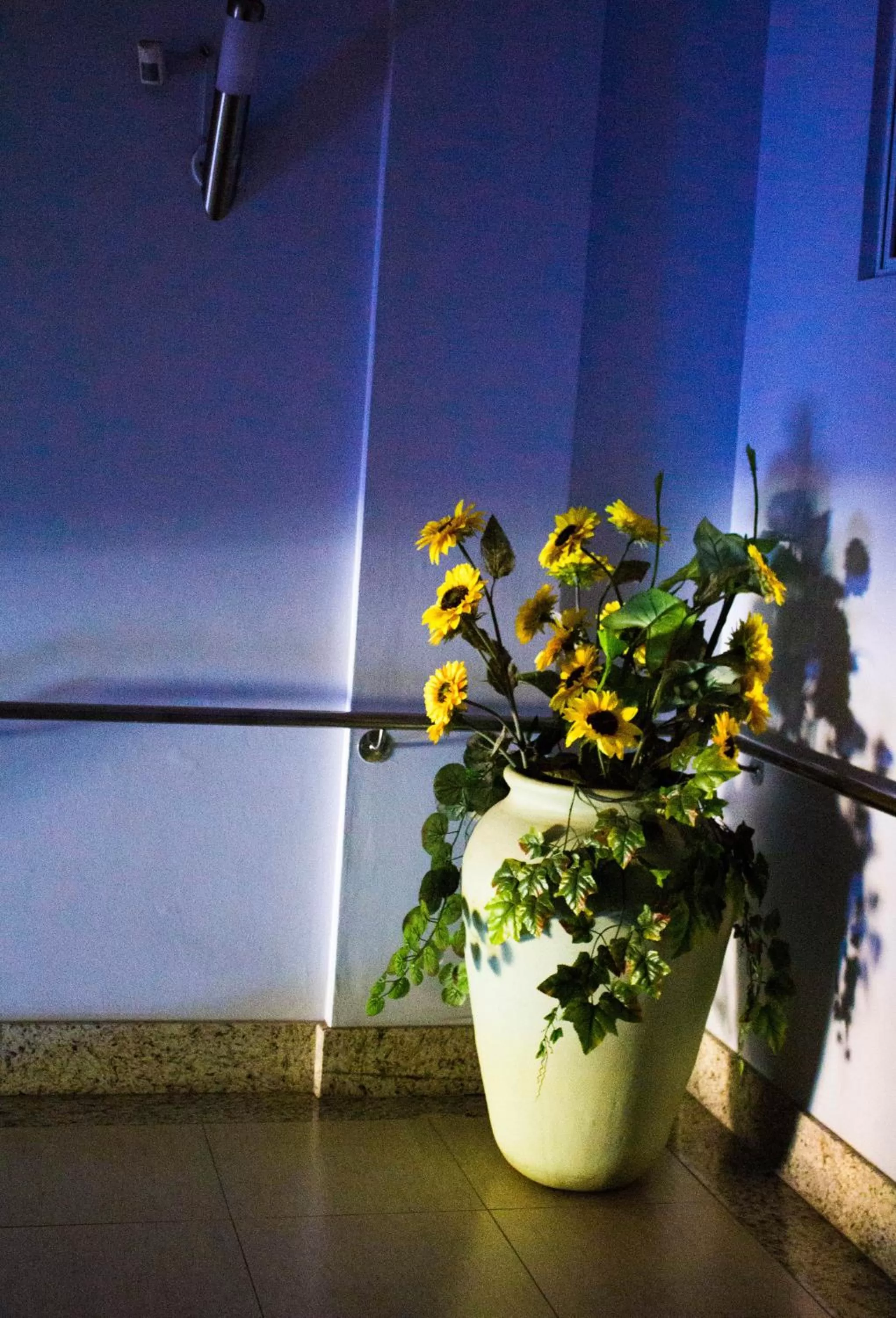 Sunrise in Hotel Baviera Iguassu