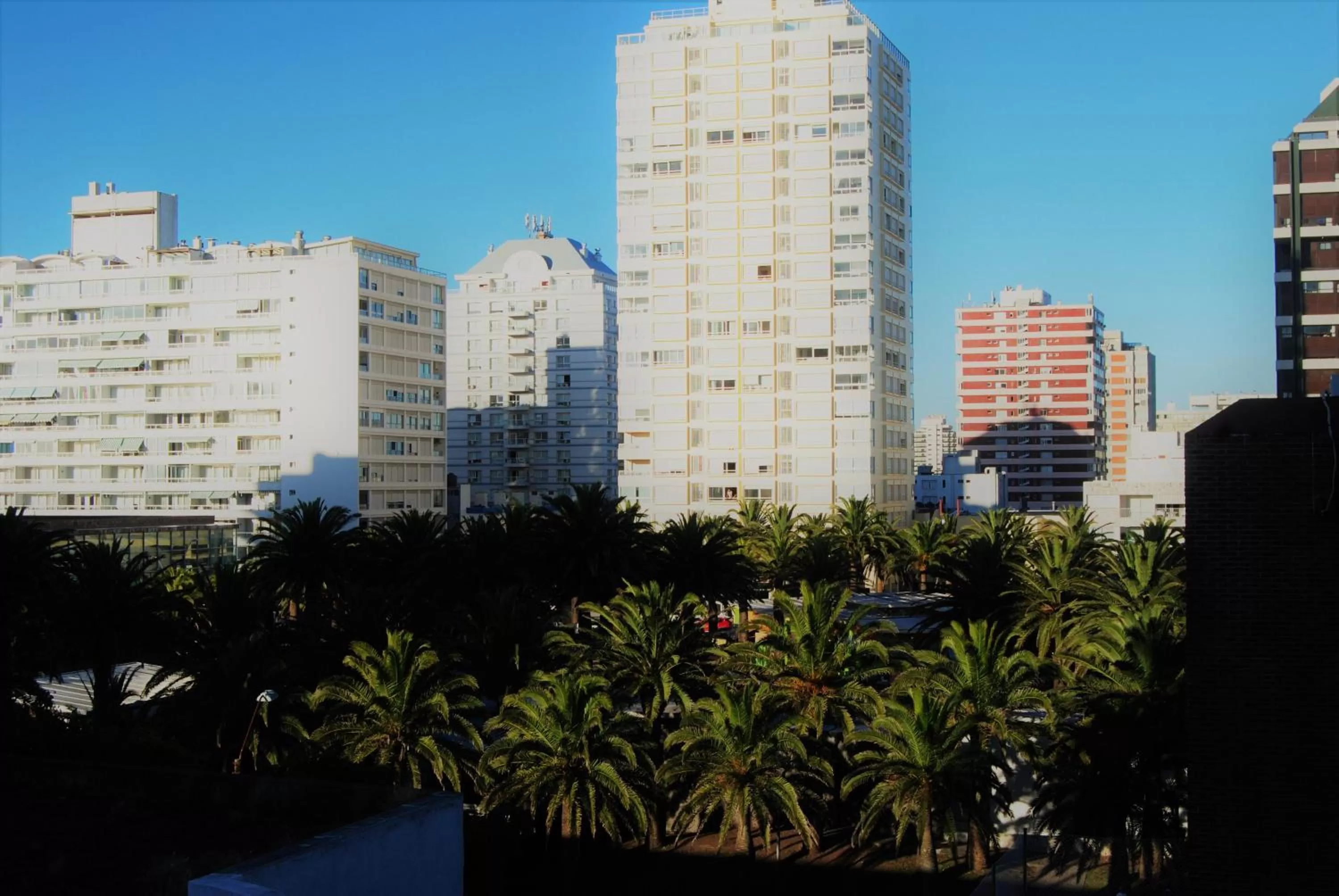 Junior Suite in Hotel Iberia