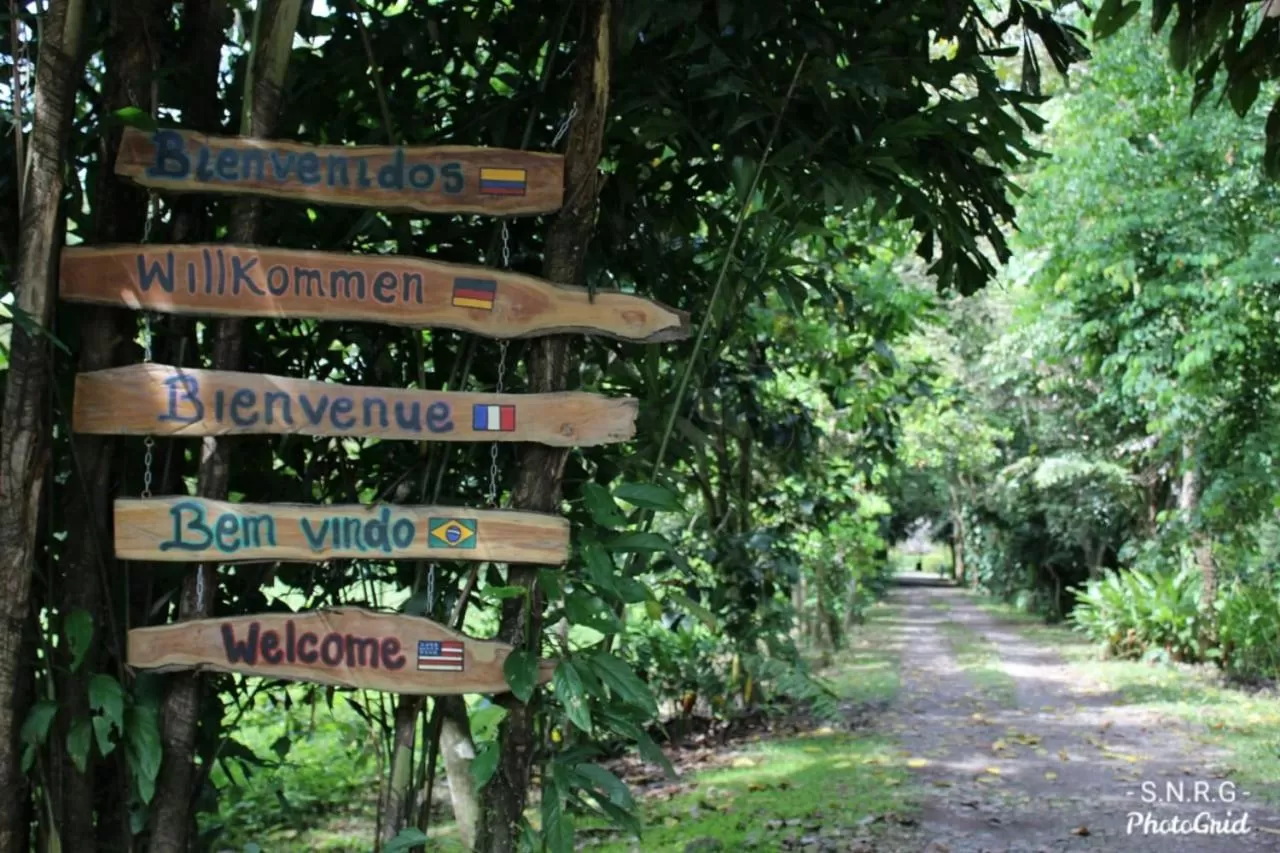 Ecolodge Cosmogénesis