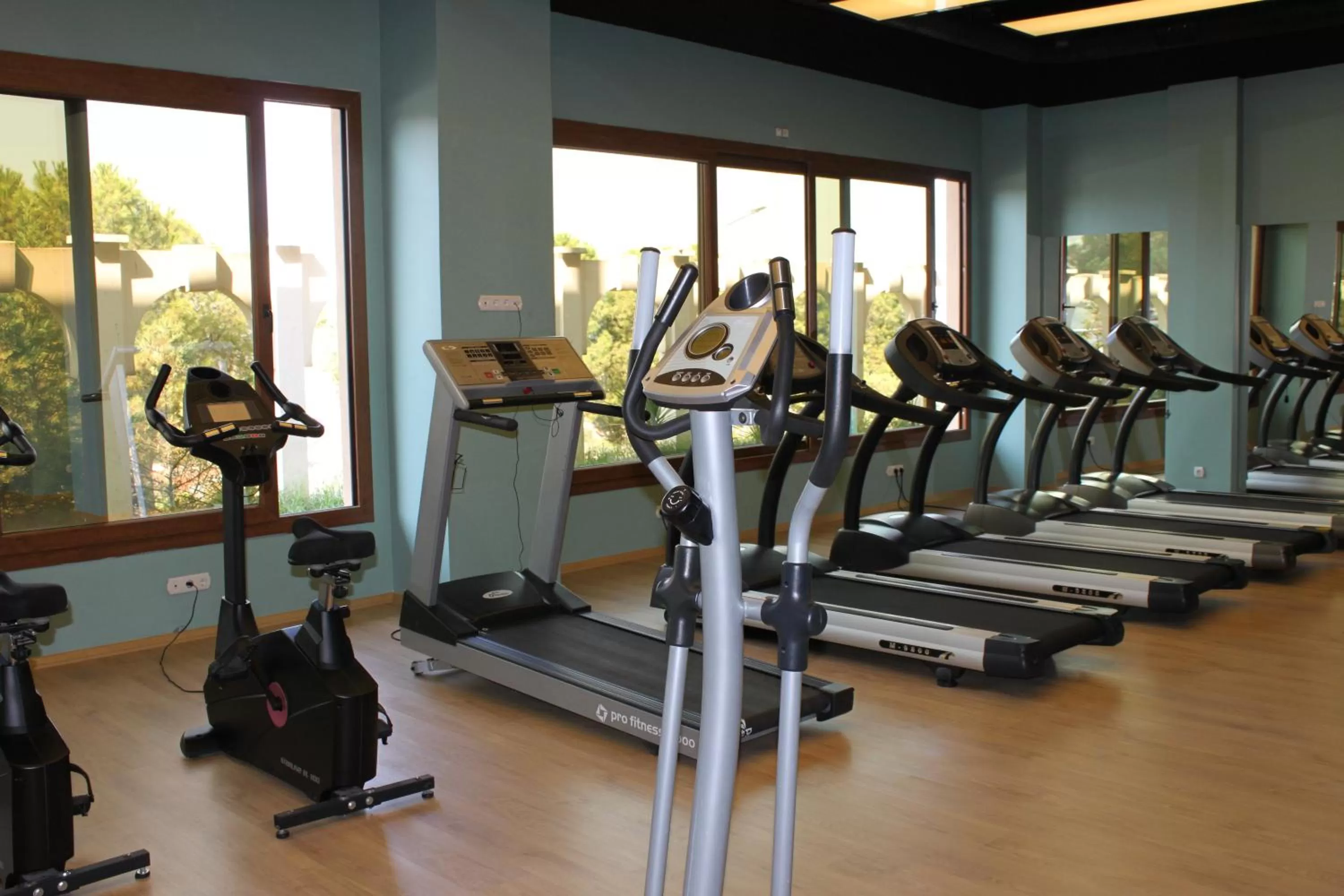 Fitness centre/facilities, Fitness Center/Facilities in Lidya Sardes Hotel Thermal & SPA