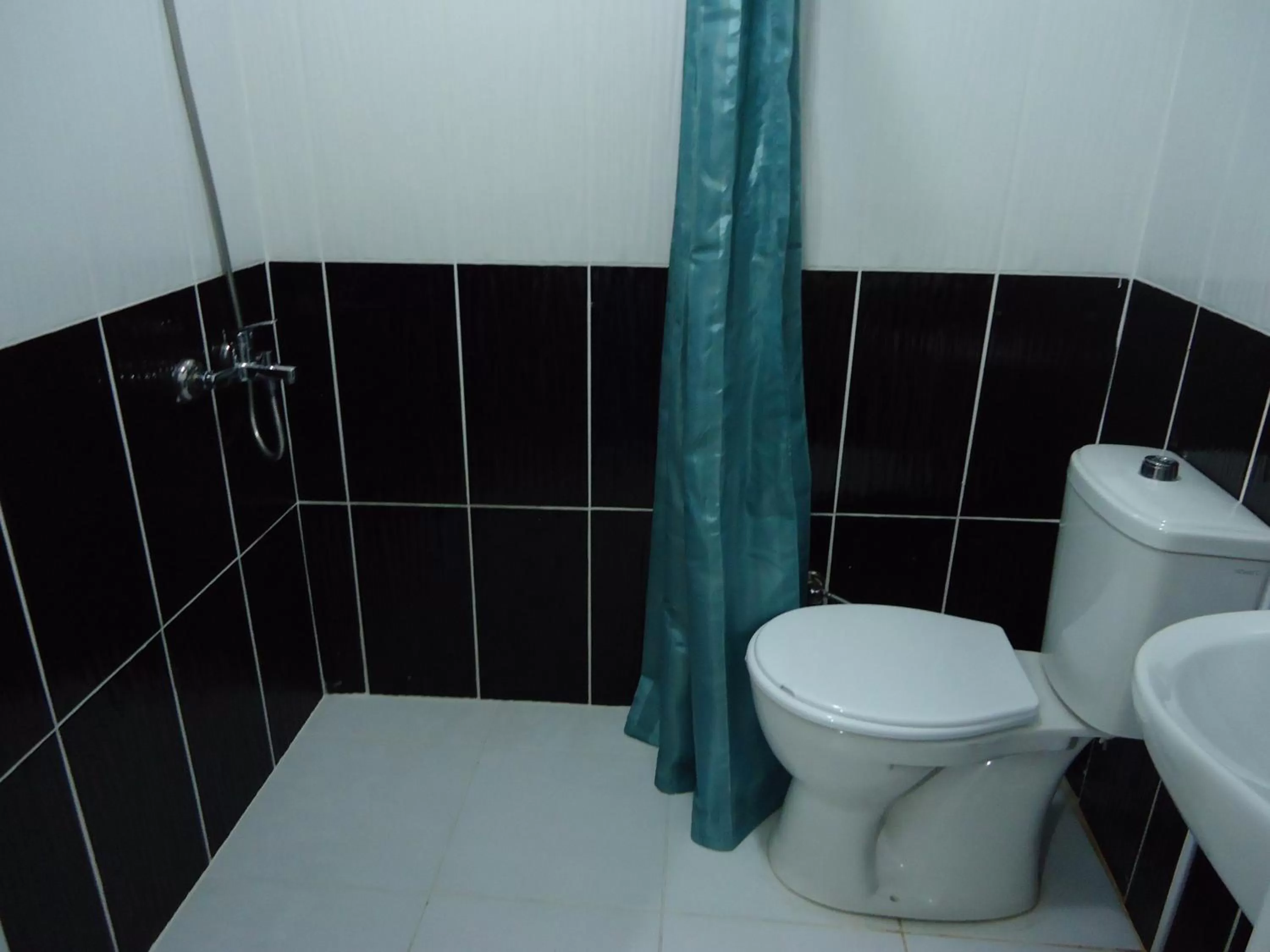 Shower, Bathroom in Tolga Hotel