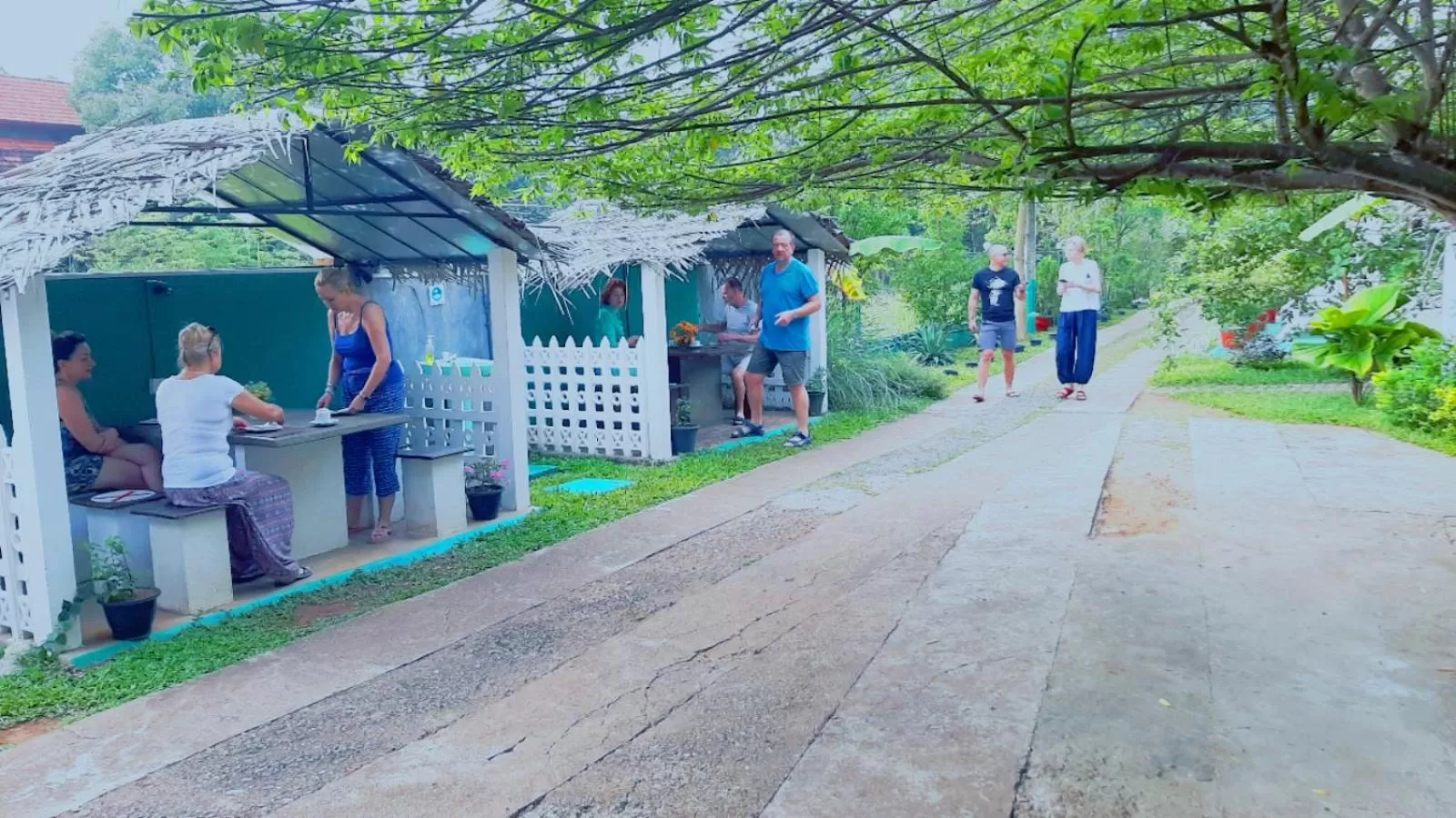 Day in New Peacock Resort