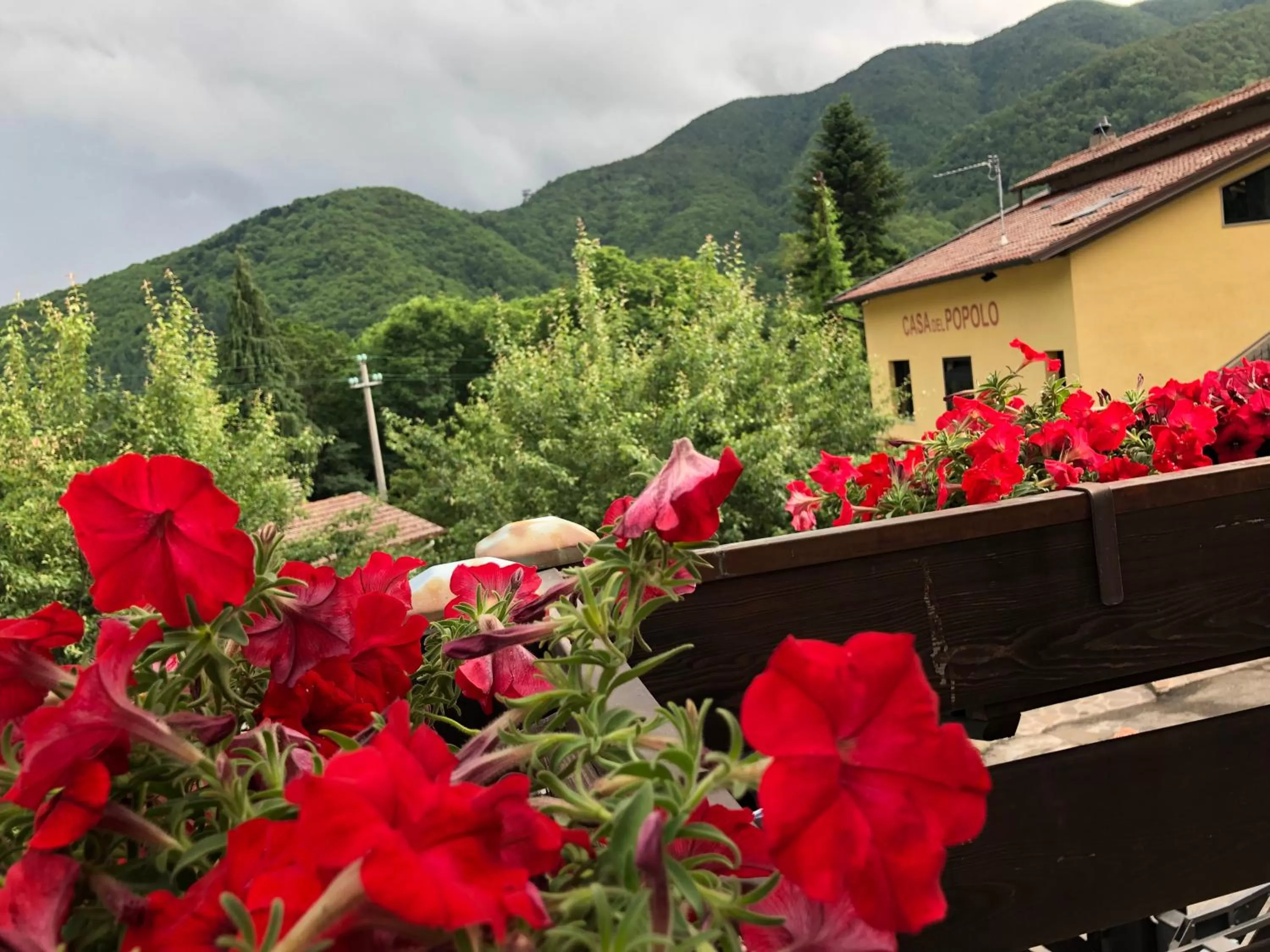 Mountain view in B&B La Piazzetta