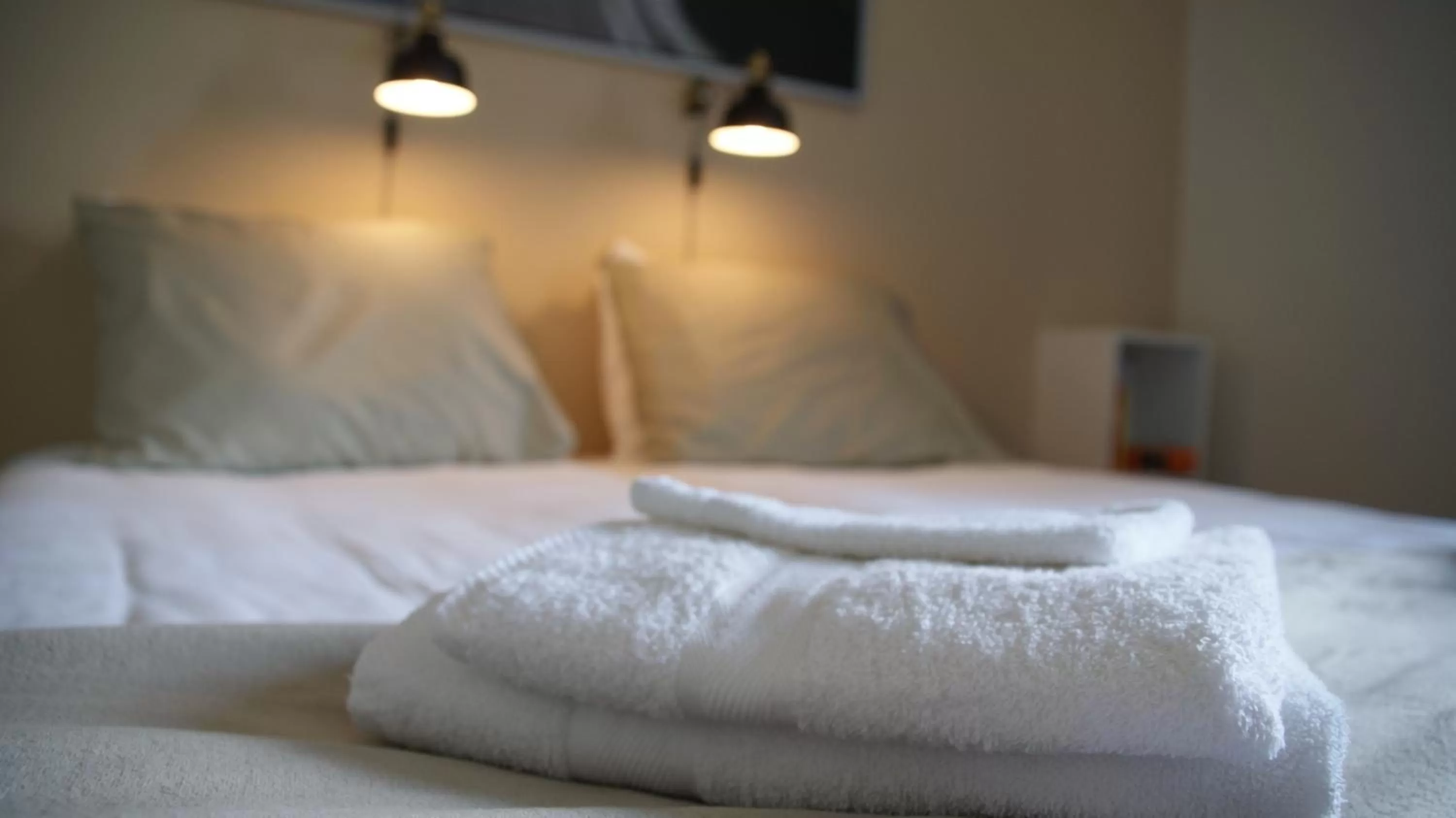 Bed in In den Roden Leeuw van Limburg