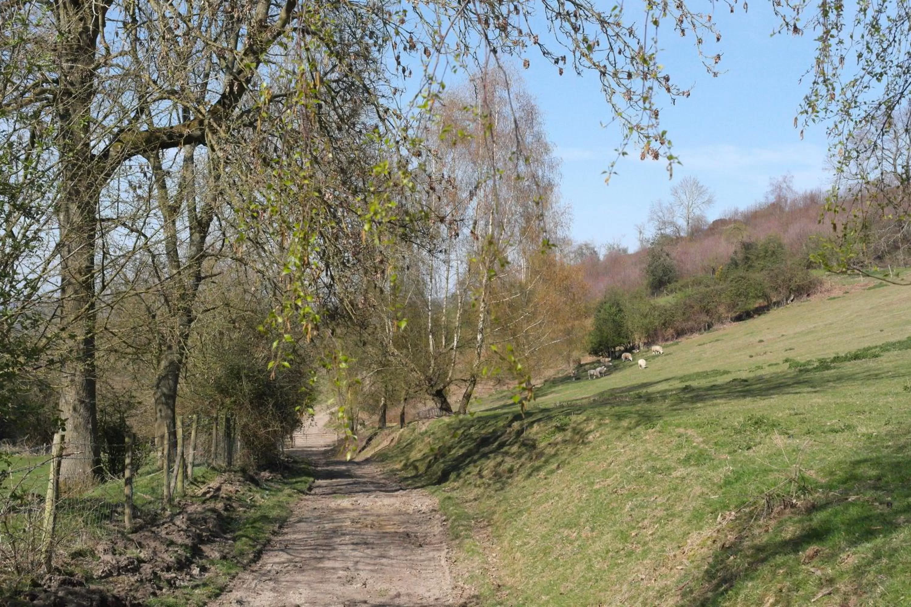 Natural landscape in Prospect BARN