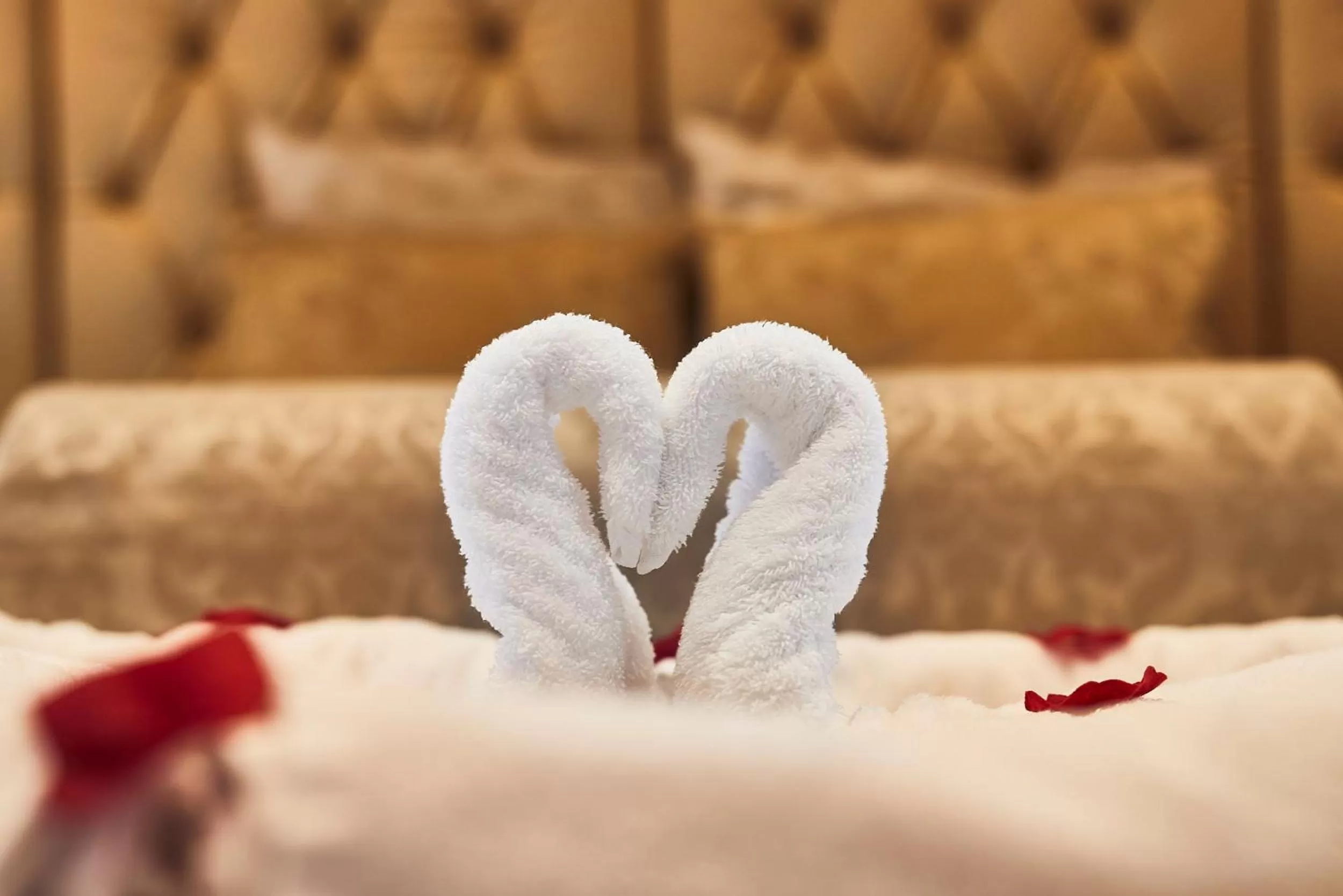 Bed in Landgoed Groot Warnsborn