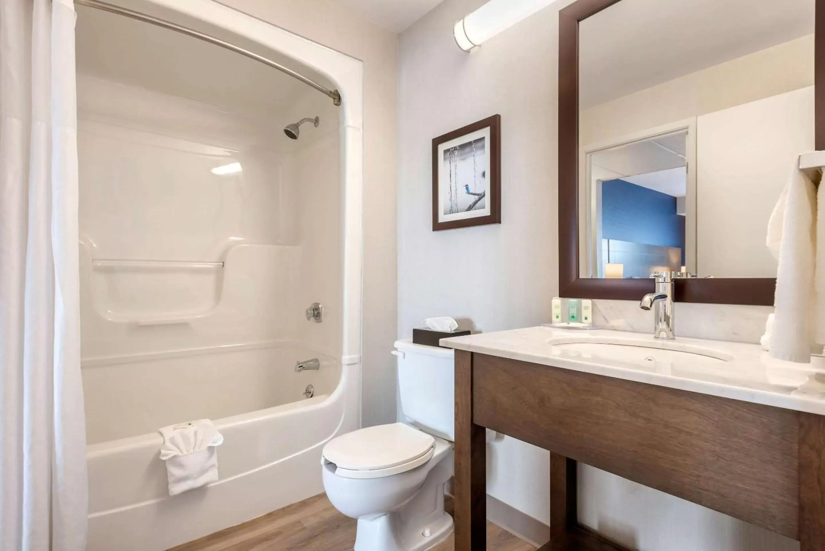 Family Suite - Non-Smoking in Quality Suites Family Suite - Non-Smoking in Quality Suites