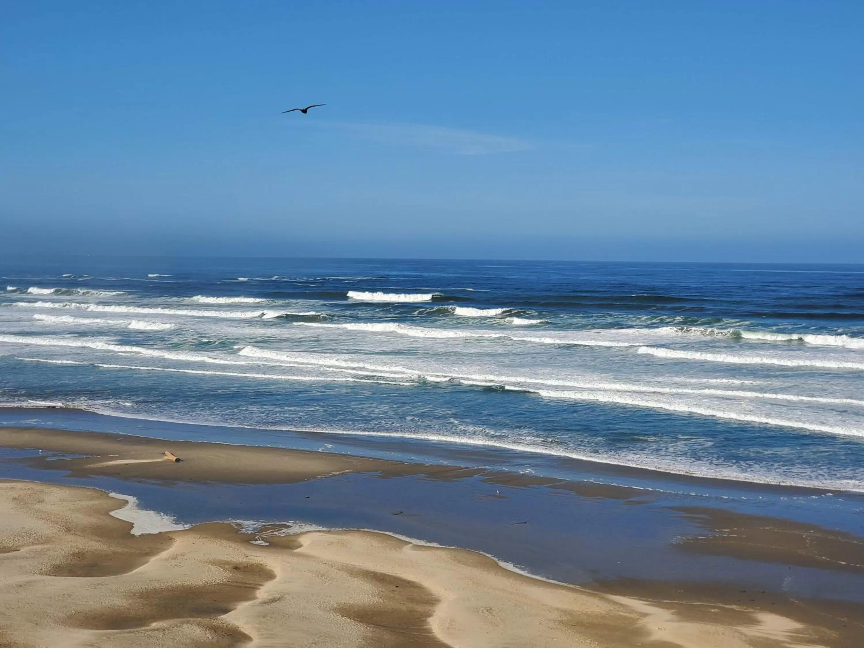 Natural landscape in Nye Beach Cottages