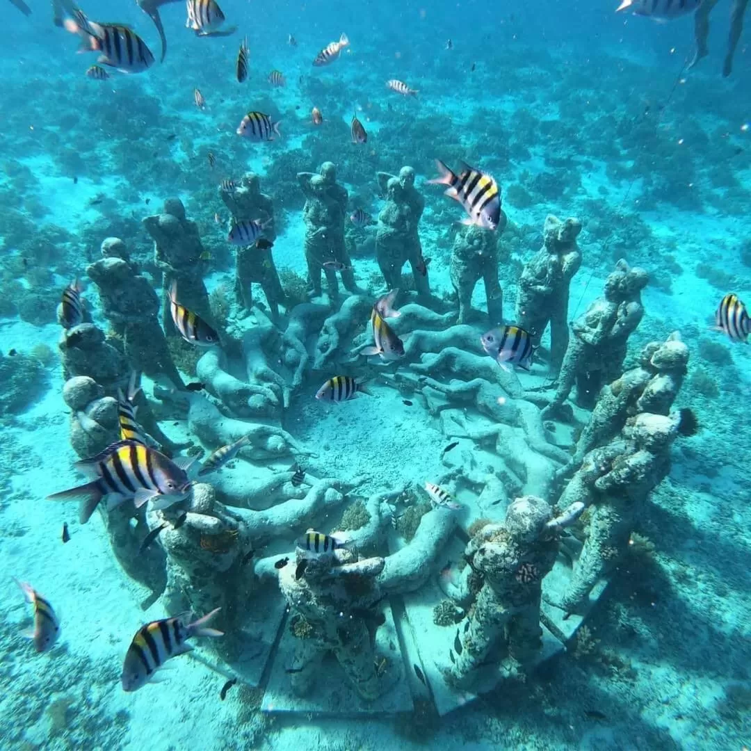 Snorkeling in Gili Meno Mojo Beach Resort