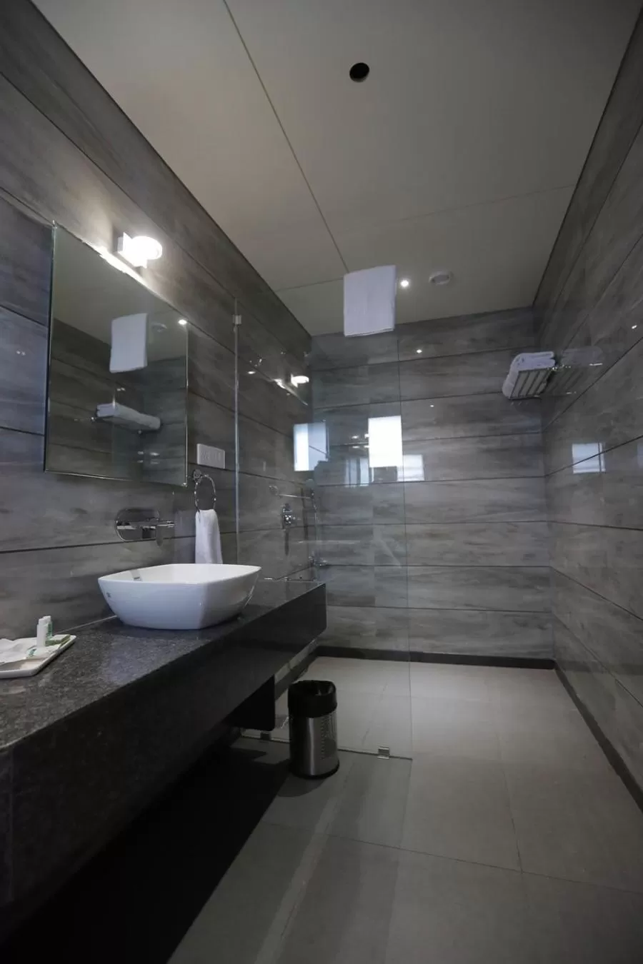 Bathroom in Hotel Radiance