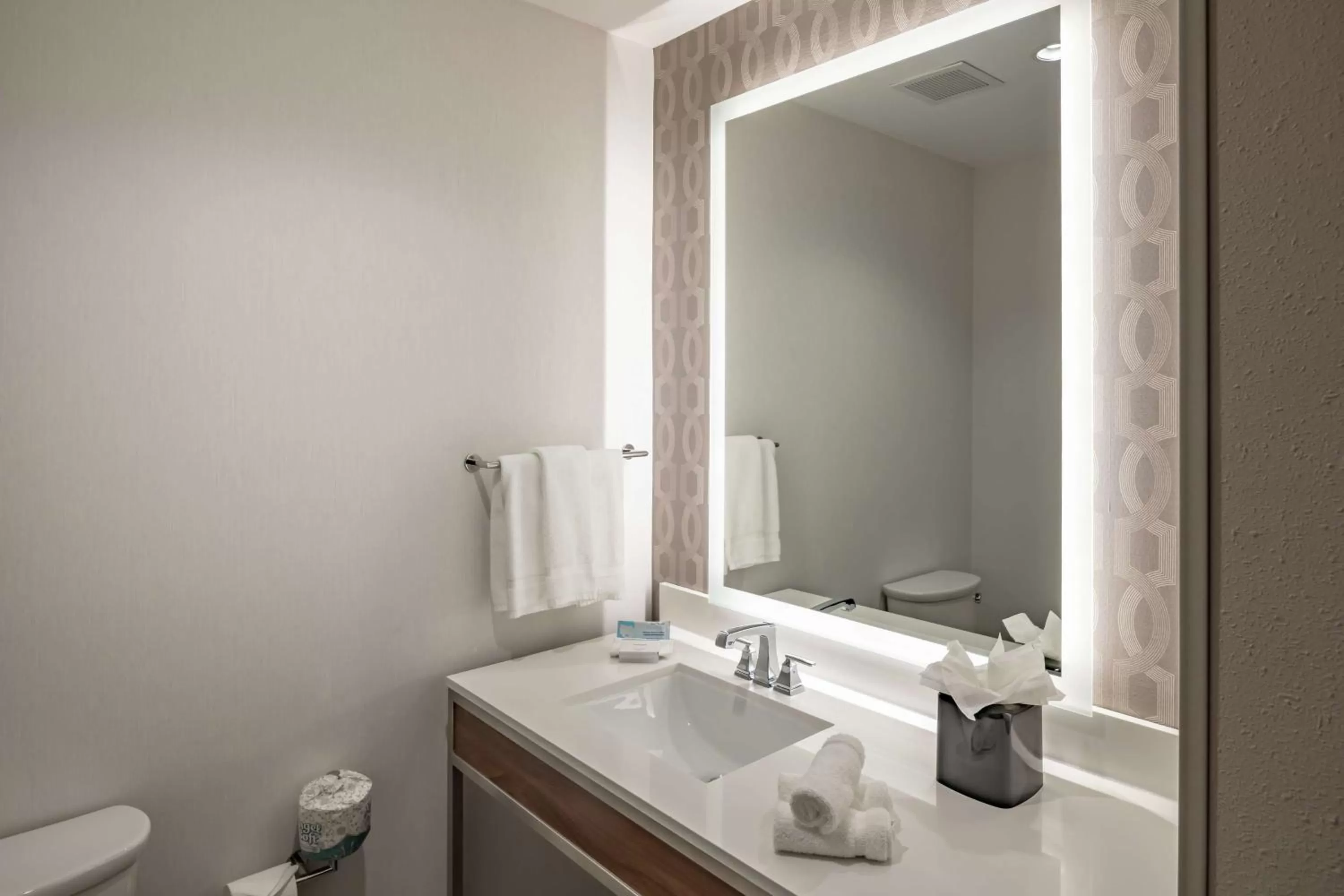 Bathroom in Hilton Garden Inn Dallas At Hurst Conference Center