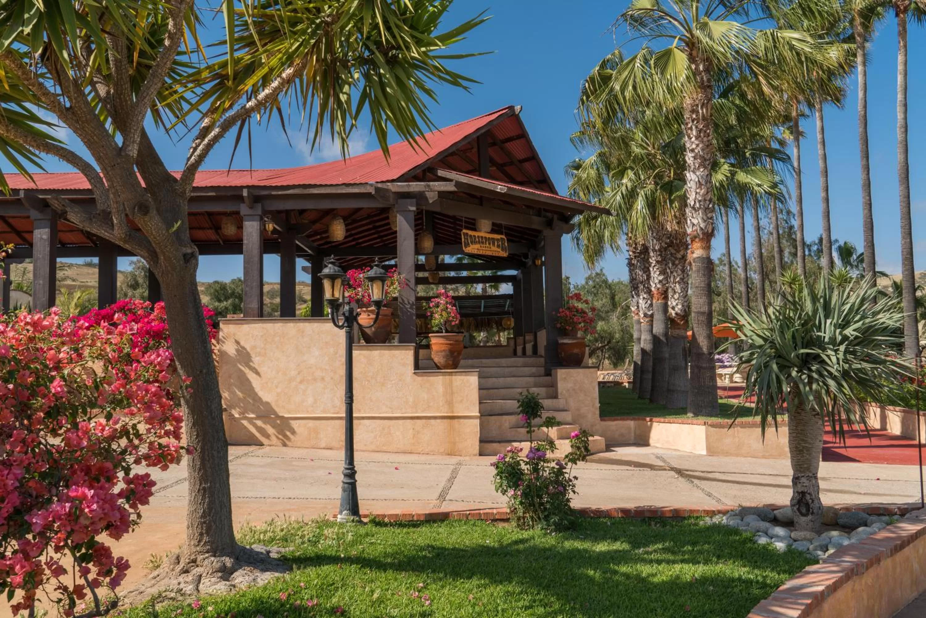 Garden in Horsepower Ranch