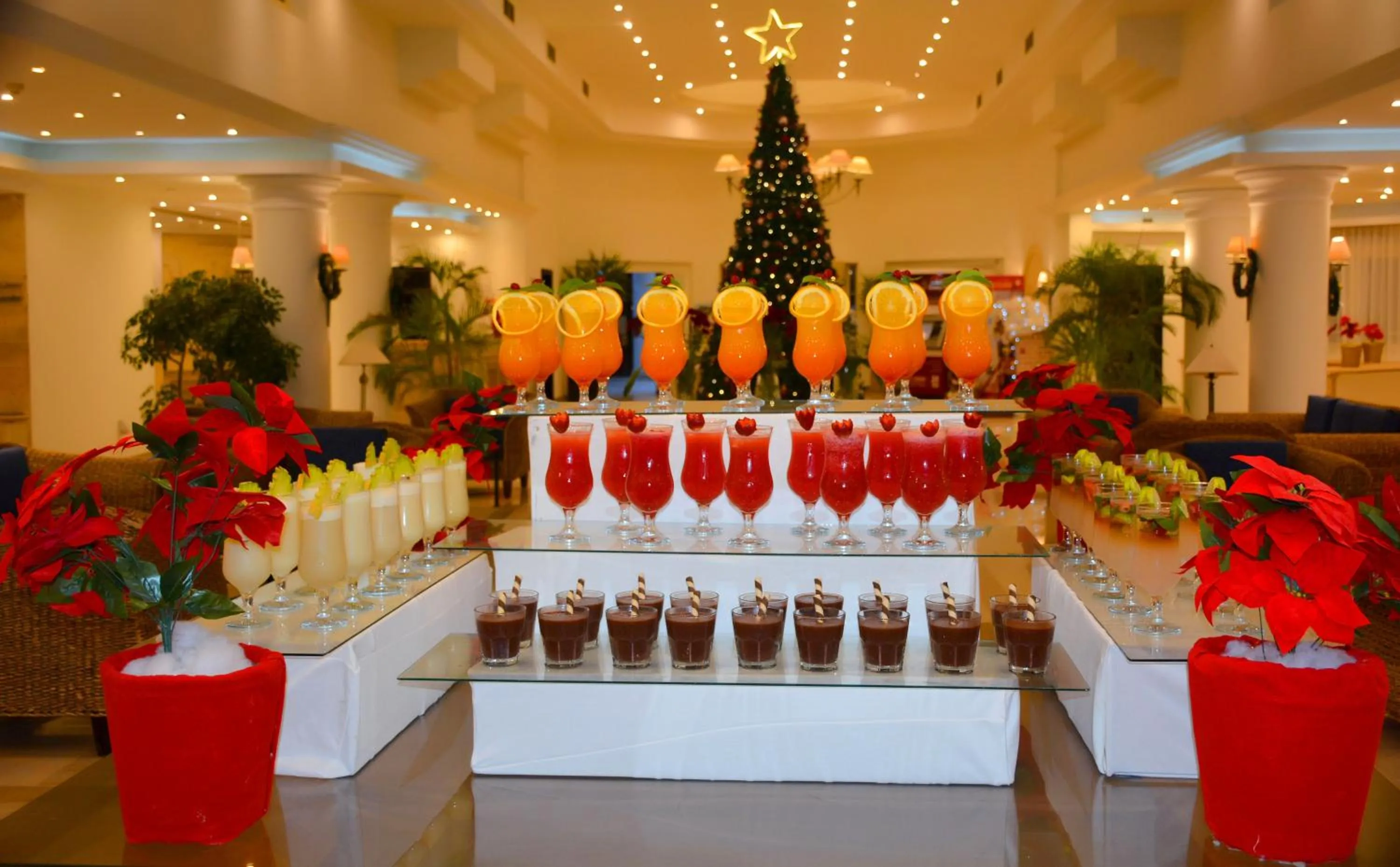 Alcoholic drinks in Hurghada Coral Beach Hotel