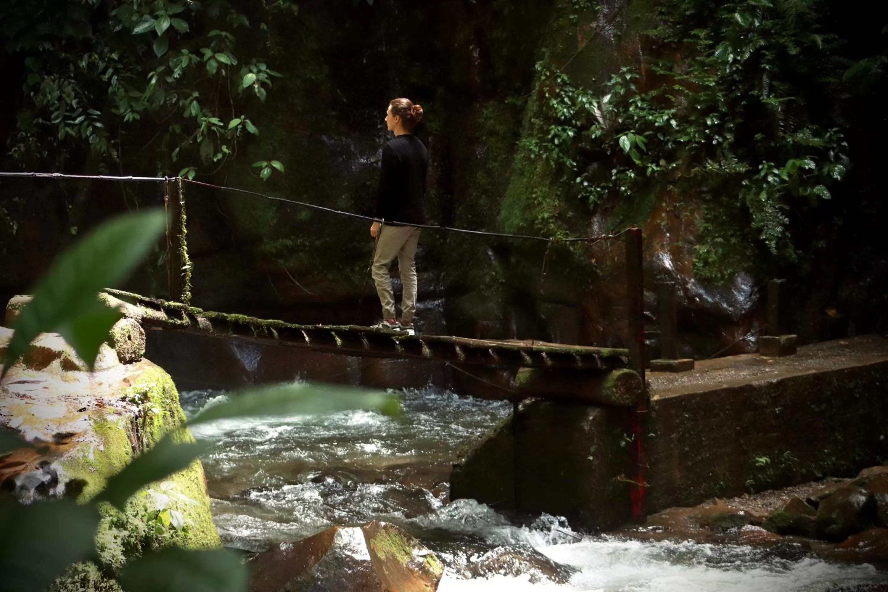 Natural landscape, Other Animals in La Cabaña Ecohotel - Valle del Cocora