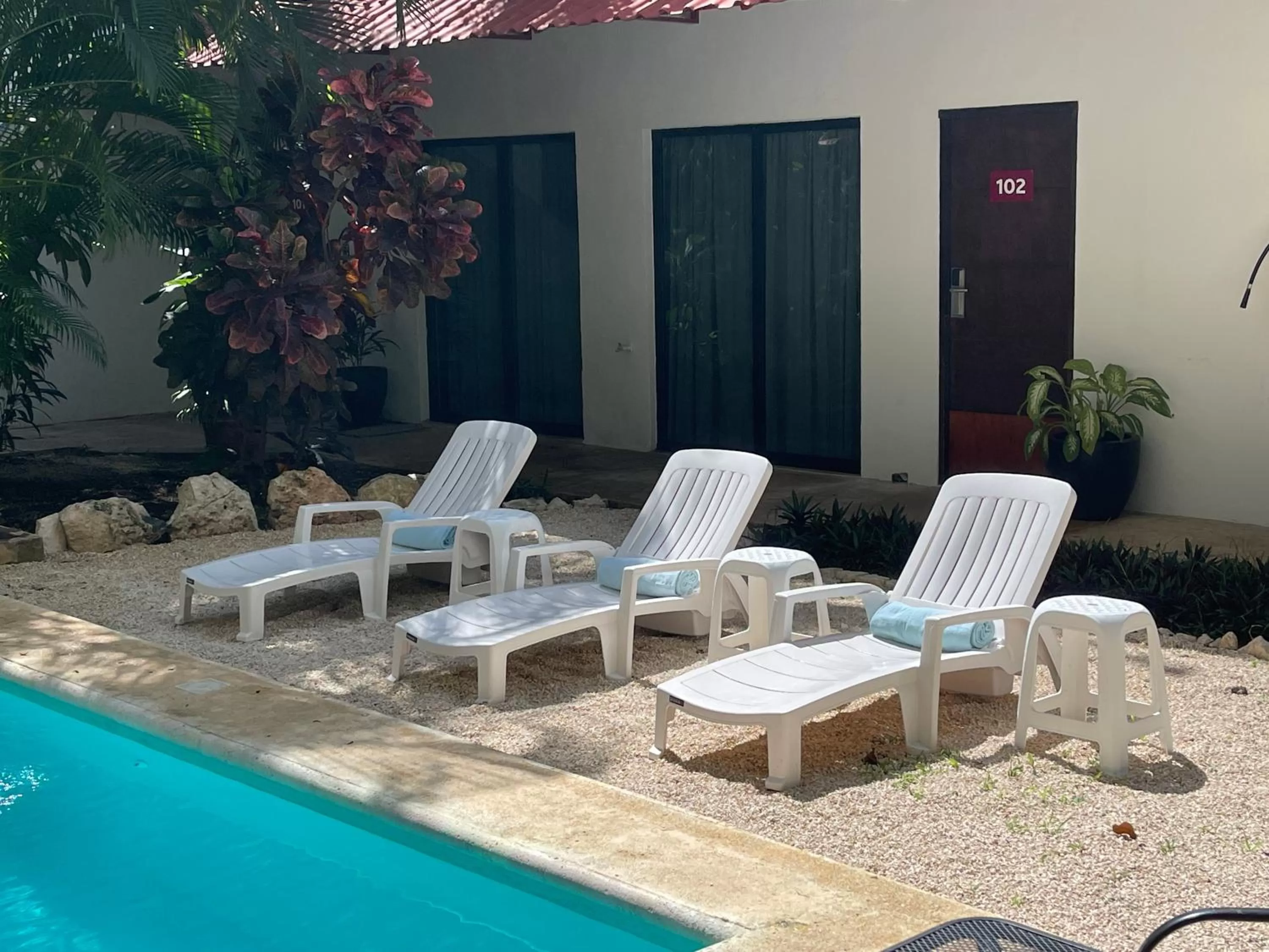 Pool view in Hotel Mariachi by Kavia 5th Av