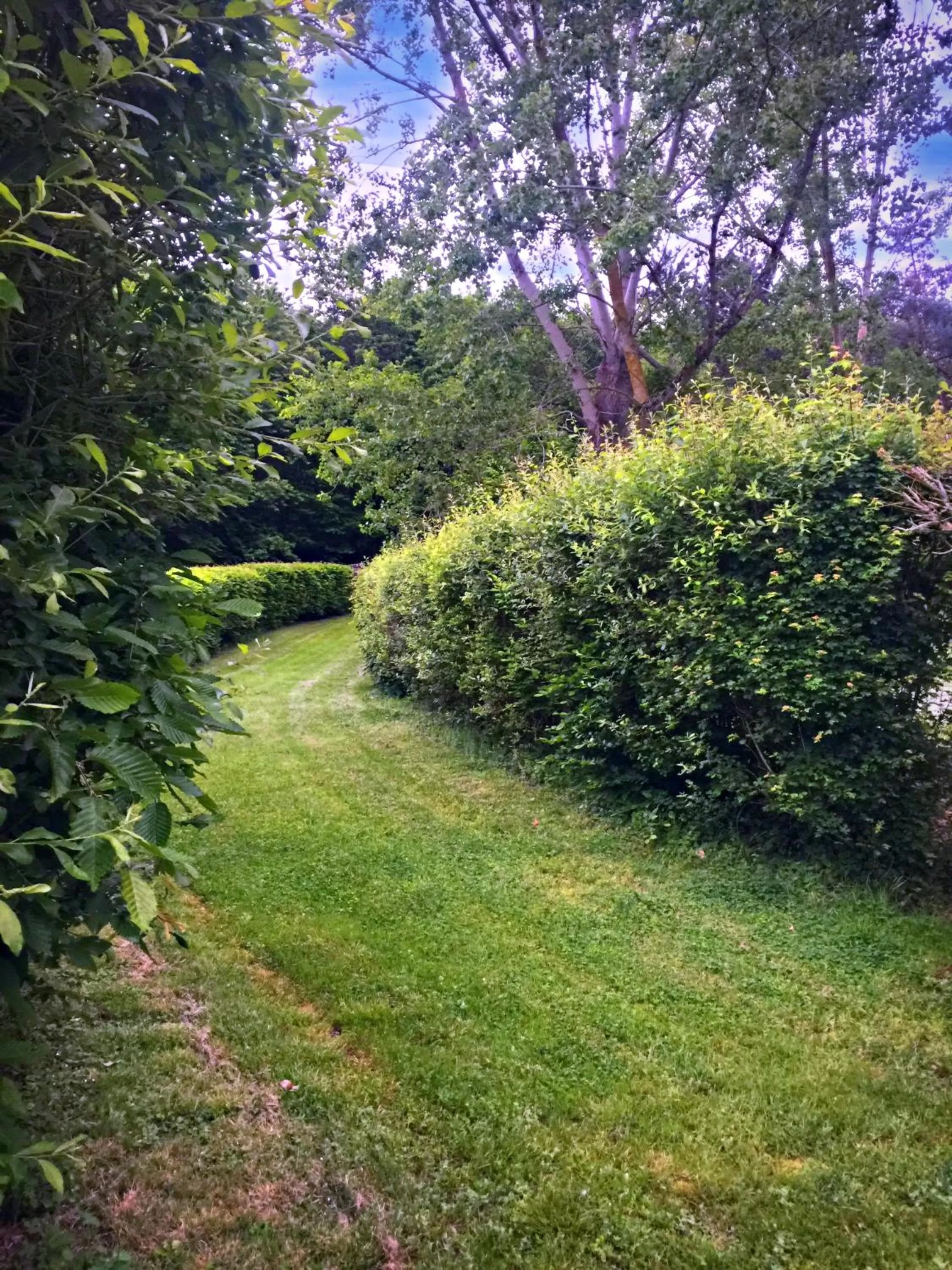 Garden view in Le Petit Chateau De Sainte Colombe