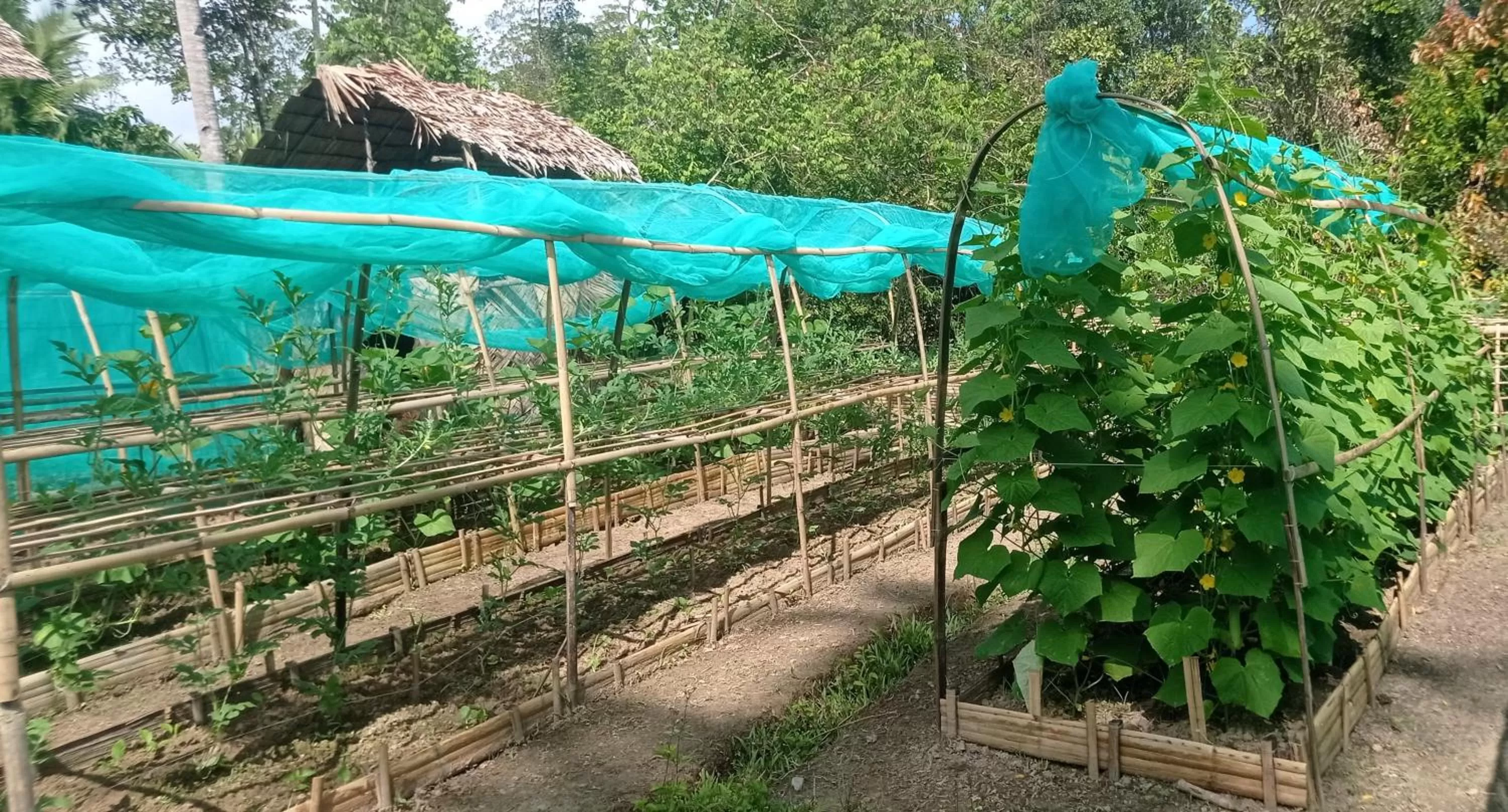 Day in Ocean Green Eco Lodge