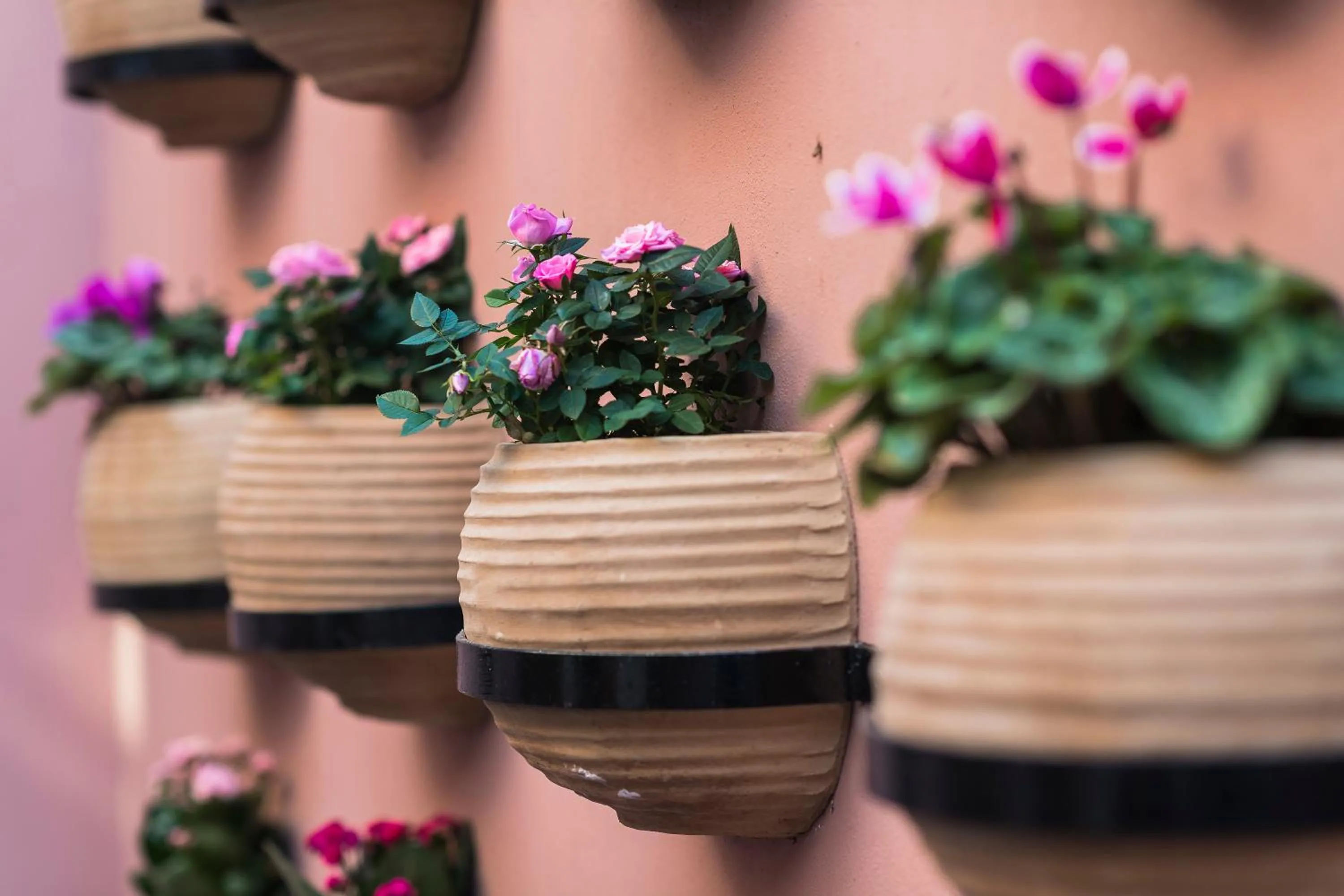 Natural landscape in Sperveri Boutique Hotel