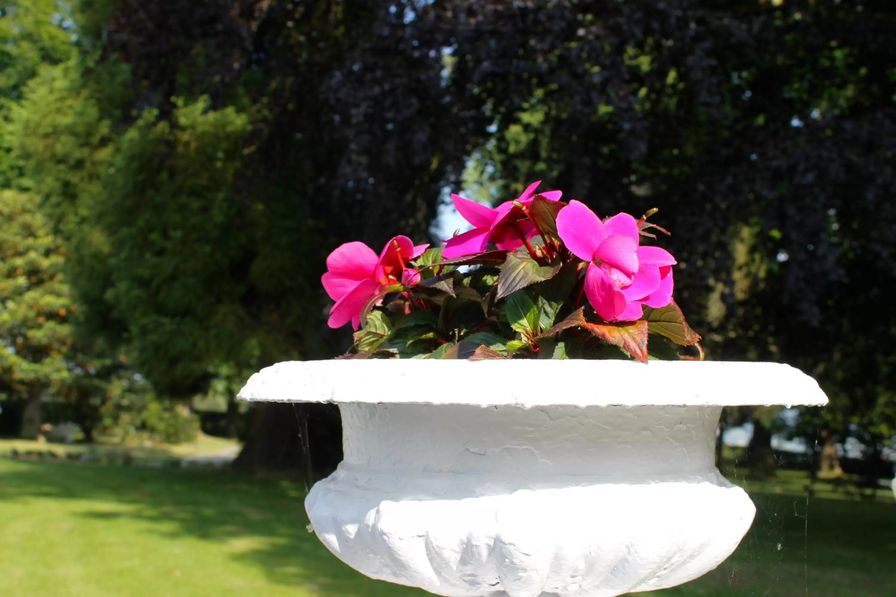 Garden in HOTEL BOUTIQUE VILLA DEL MARQUÉS