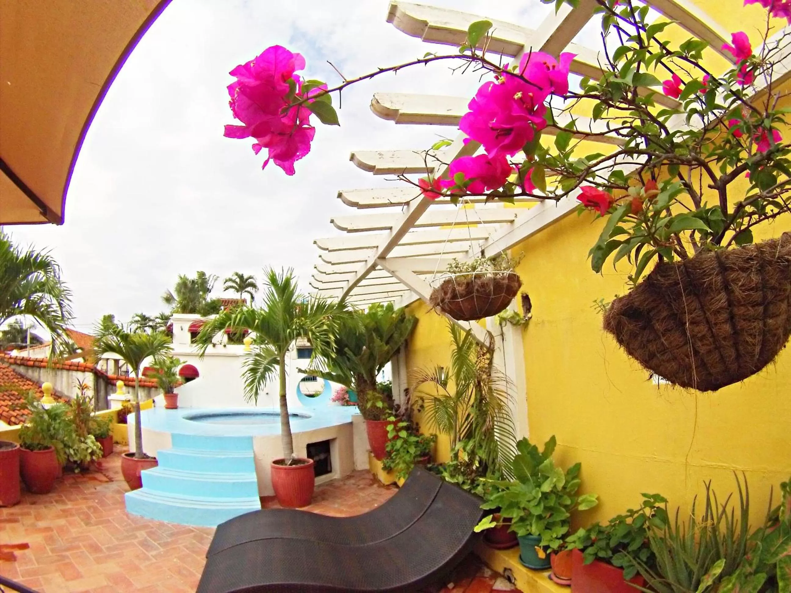 Natural landscape in Hotel Casa Gloria Boutique