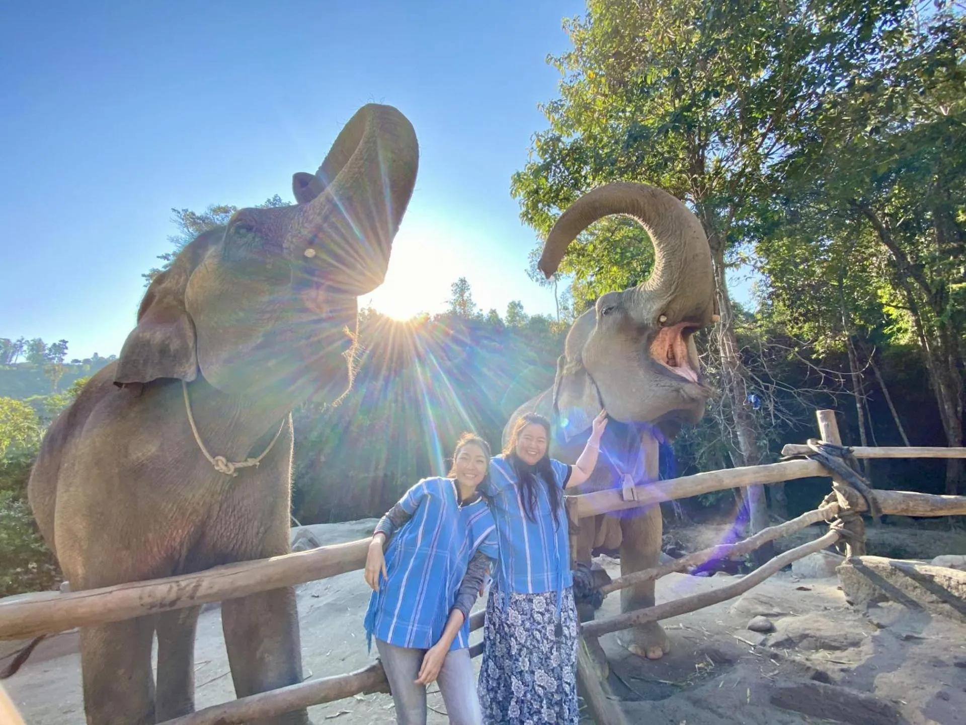 Activities in My Chiangmai Boutique Lodge