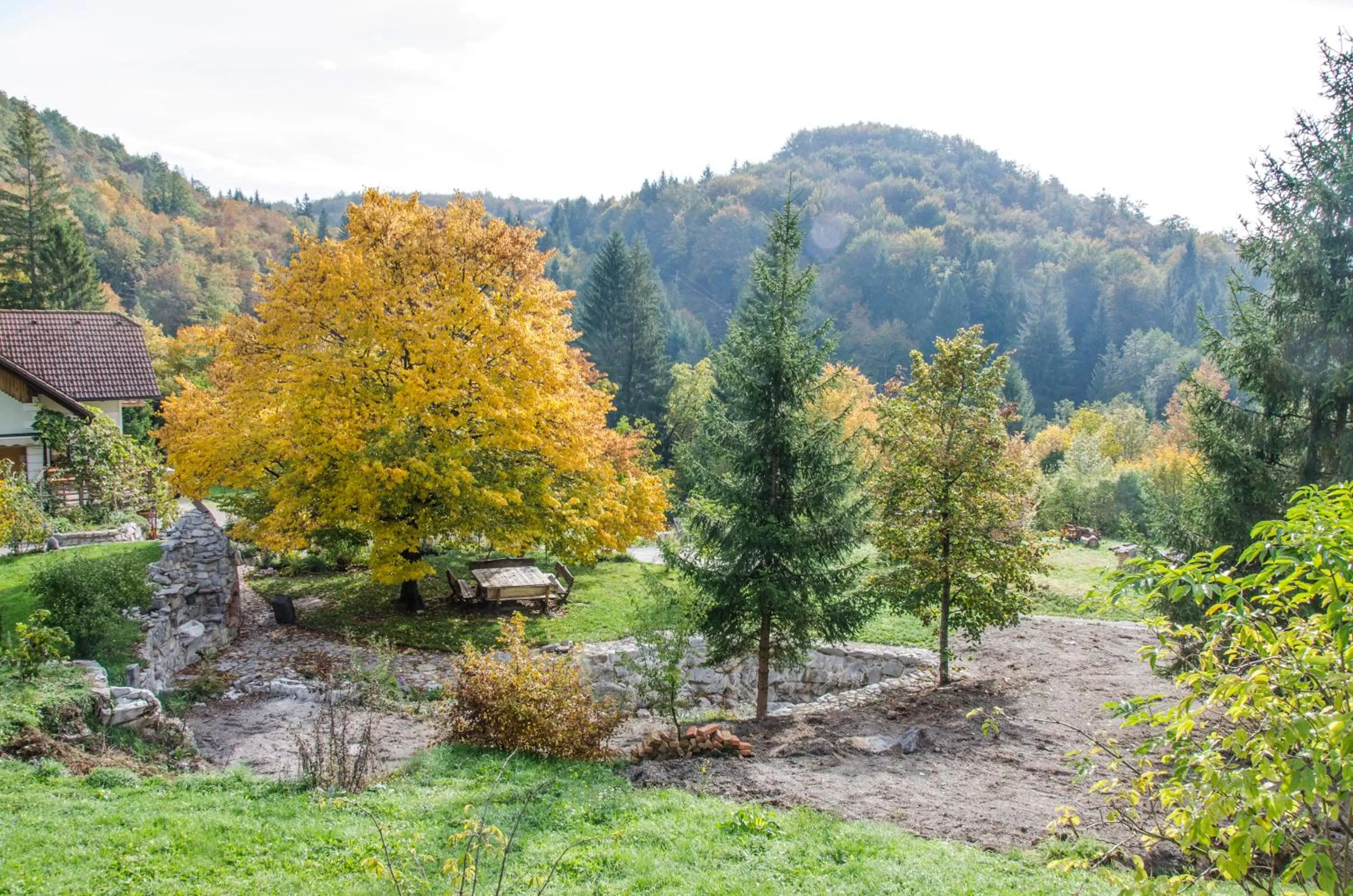 Area and facilities in Miškar Rooms