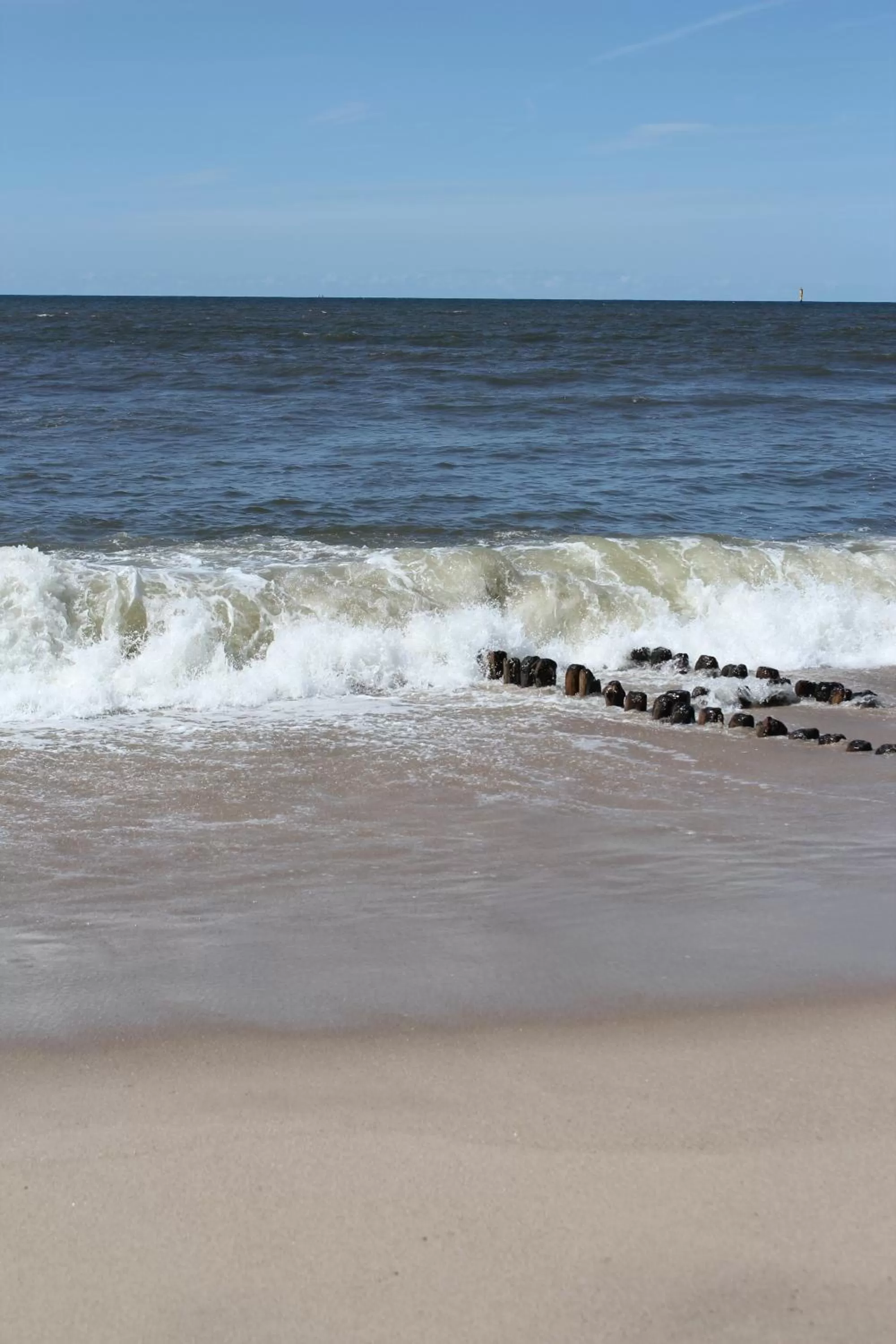 Natural landscape in Villa WellenRausch - Adults Only