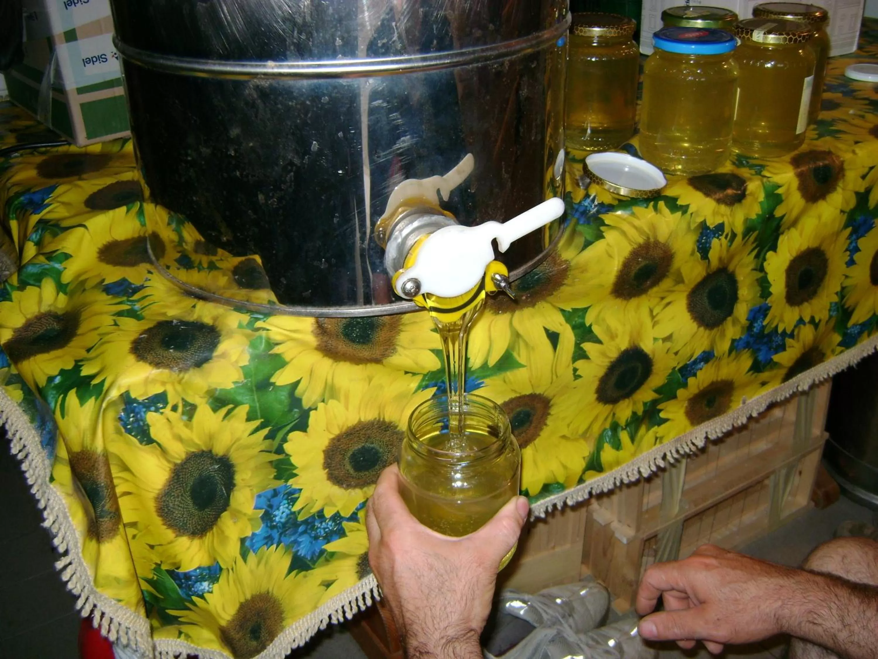 Food and drinks in B&B Lattemiele