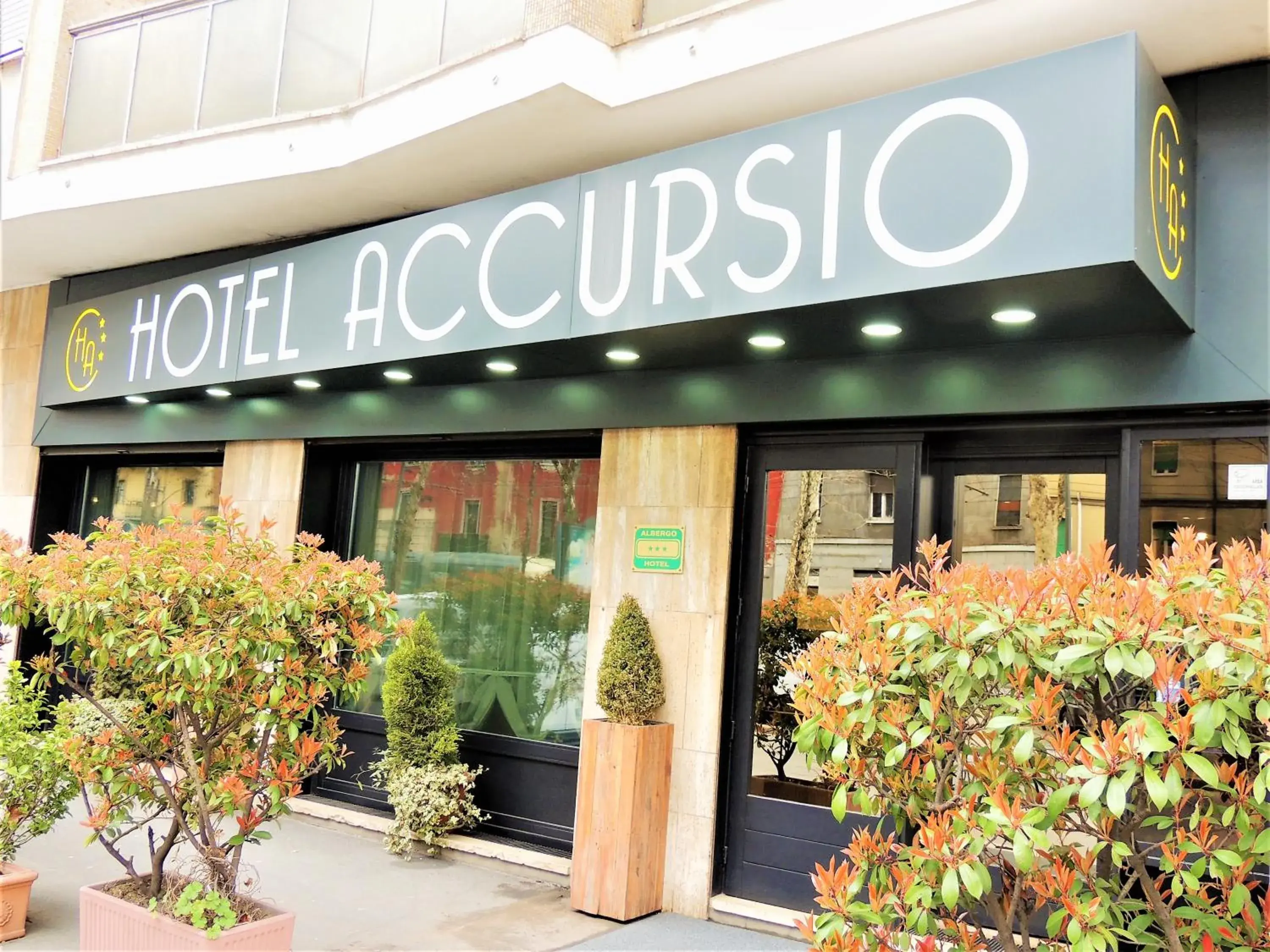 Hotel Accursio Hotel Accursio
