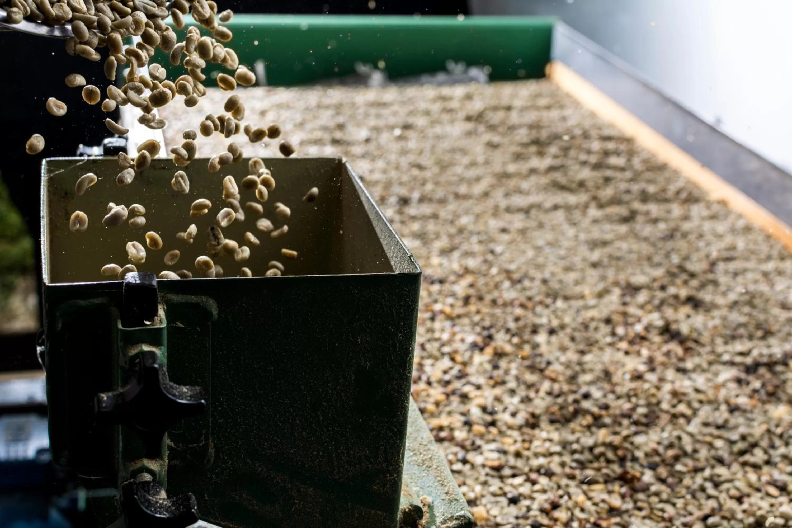 Natural landscape in Finca Rosa Blanca Coffee Farm and Inn