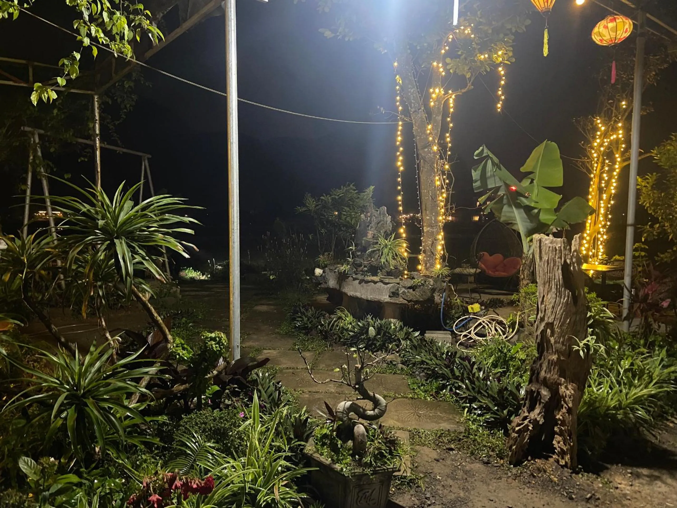 Tam Coc Mountain View Homestay