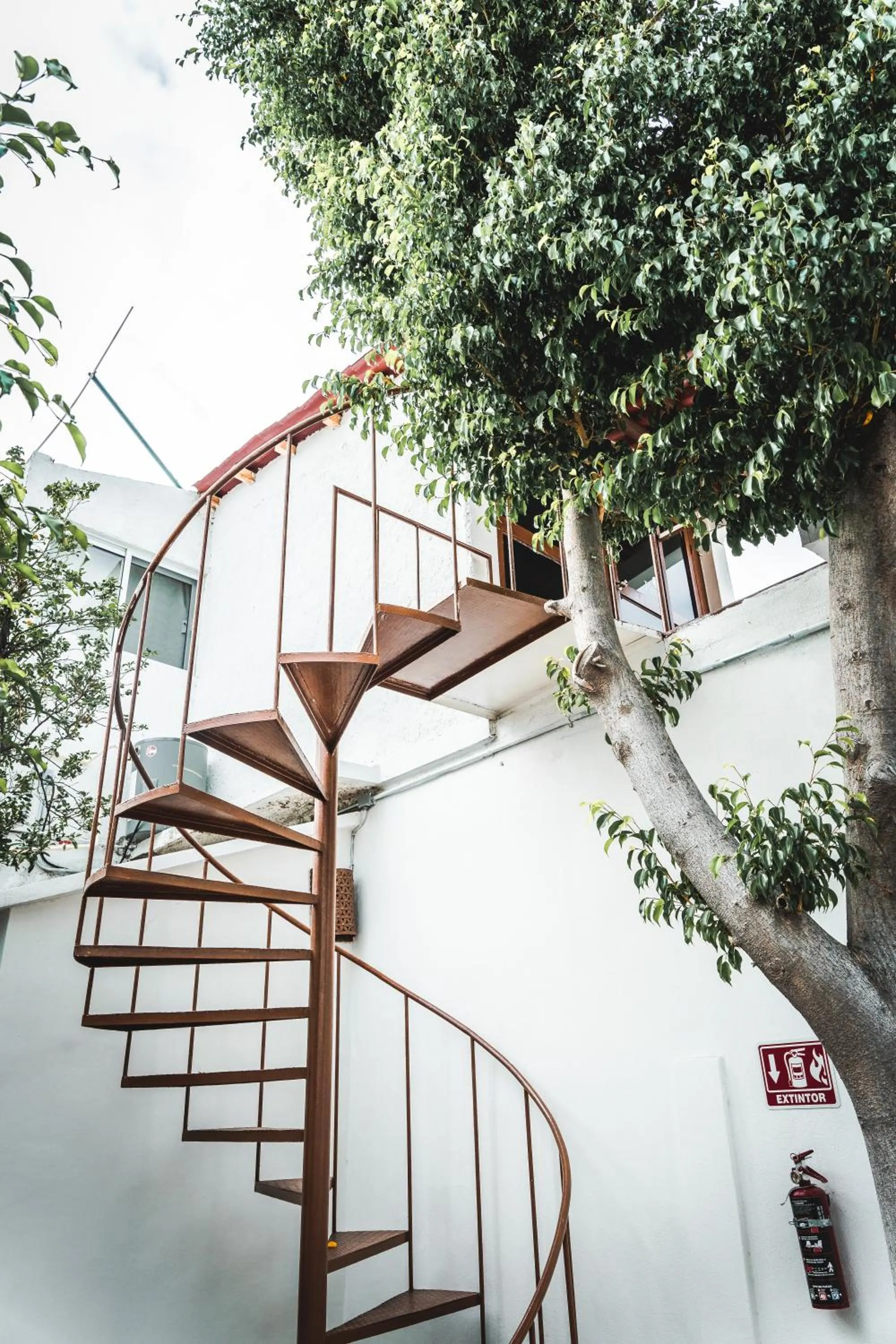 Facade/entrance in Hotel Allende