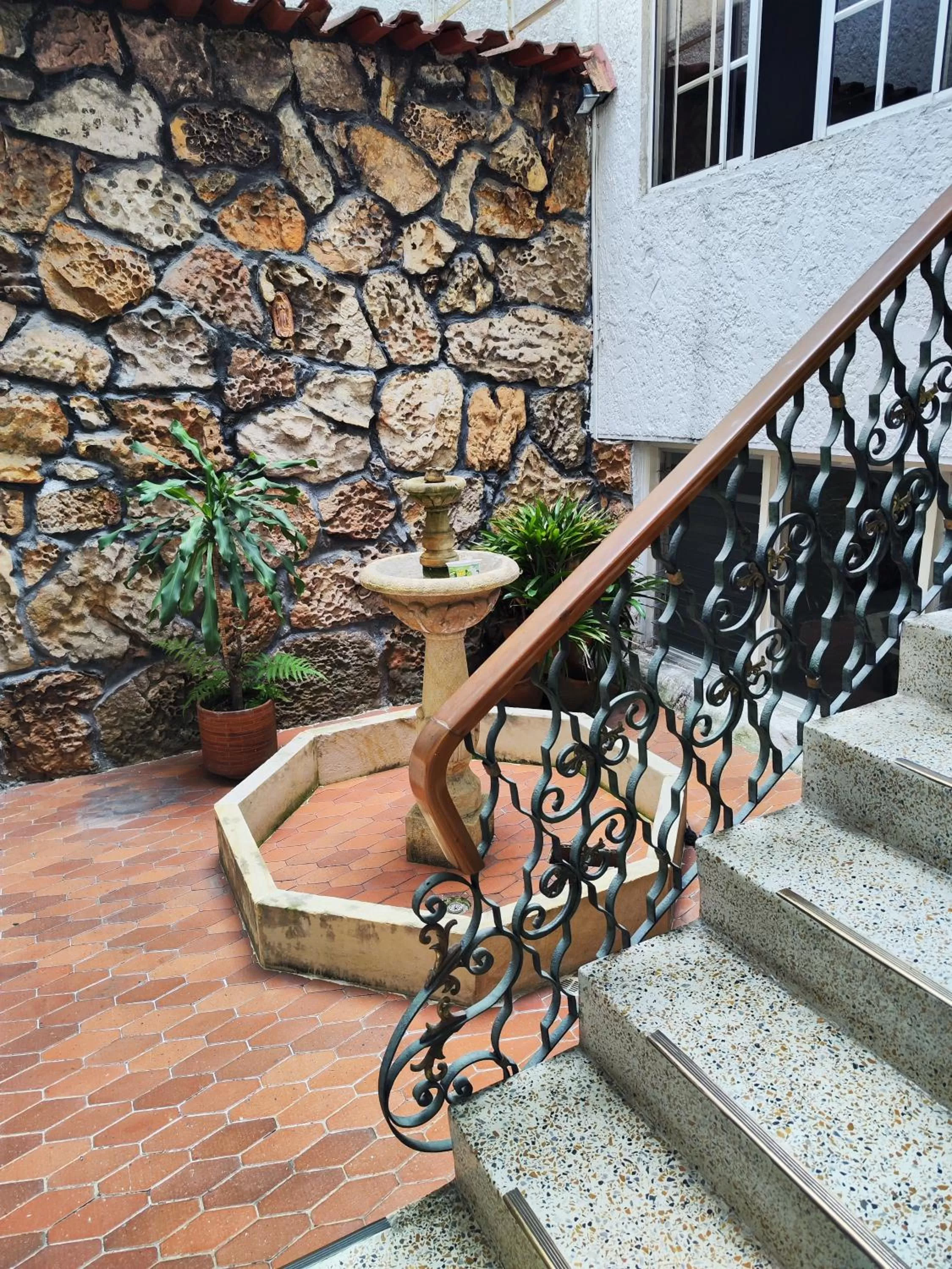 Garden in Hotel Loft Dorado