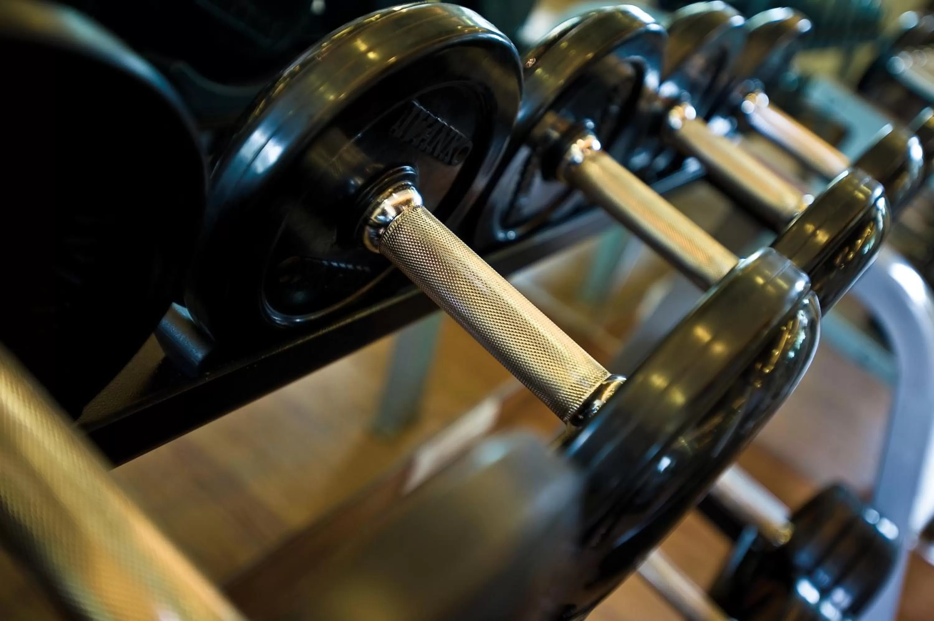 Fitness centre/facilities in Vivanta Vadodara