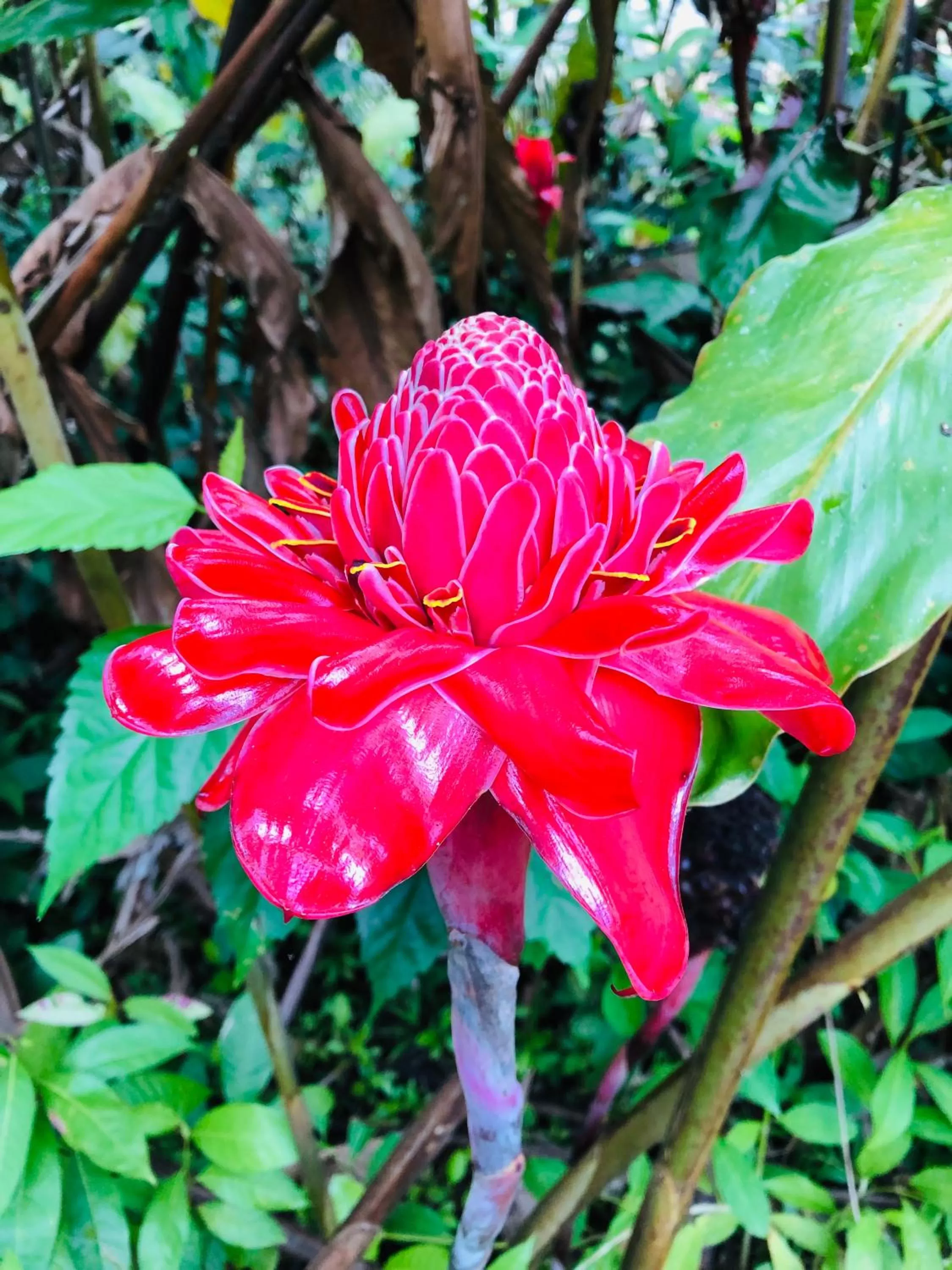 Garden in Casa Oceana Bed & Breakfast