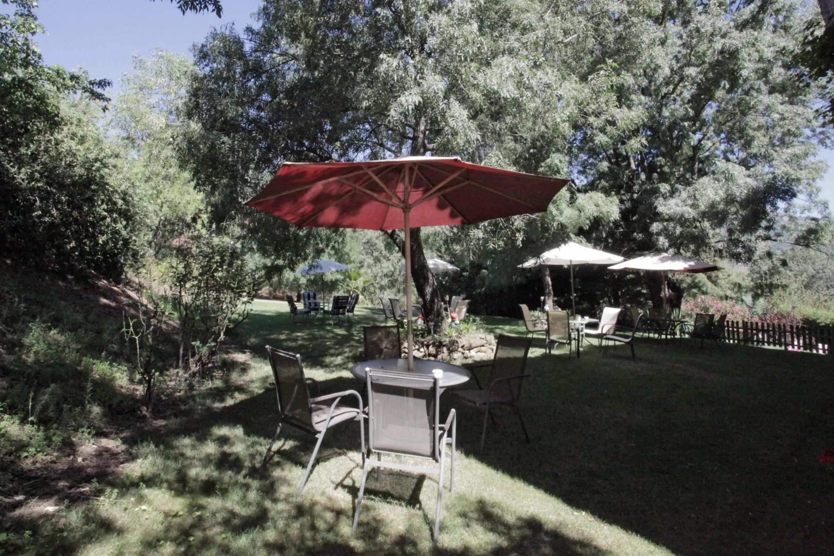 Garden in Hotel Rural Xerete