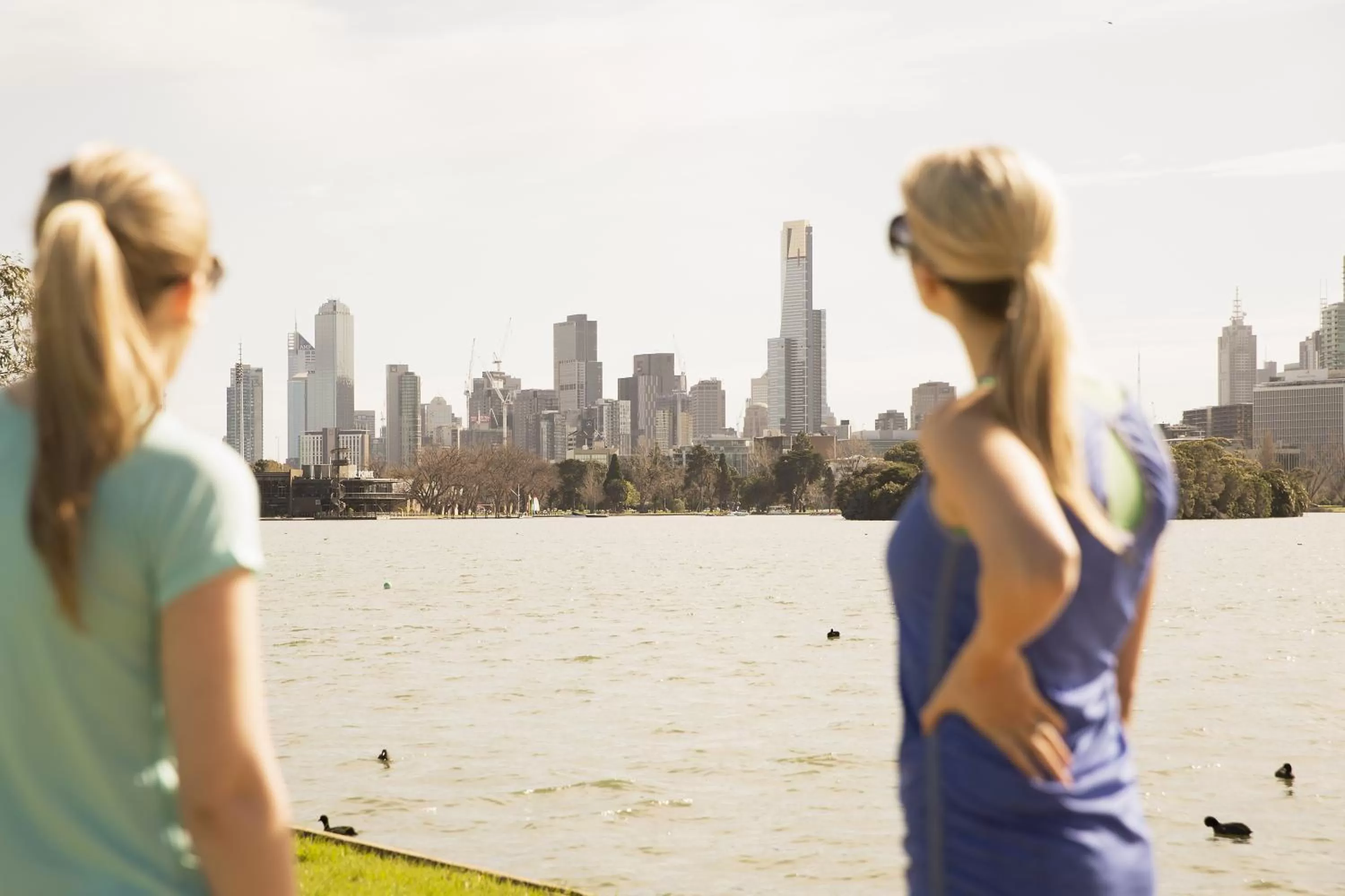 Natural landscape in Mercure Melbourne Albert Park