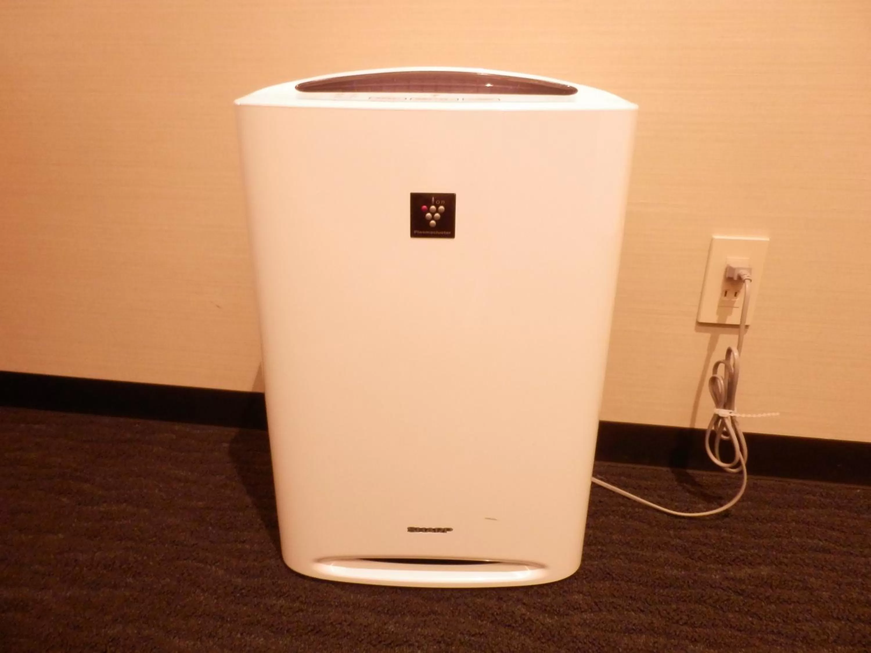 Other in Kanazawa Sainoniwa Hotel