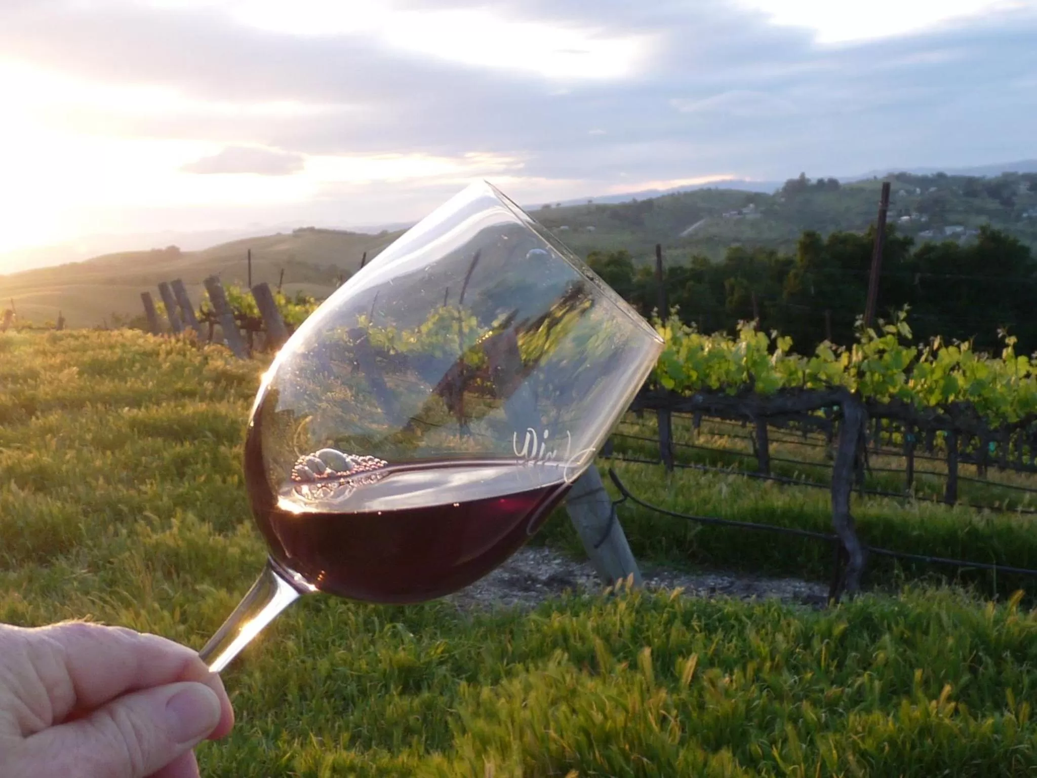 The Eden House Vineyard