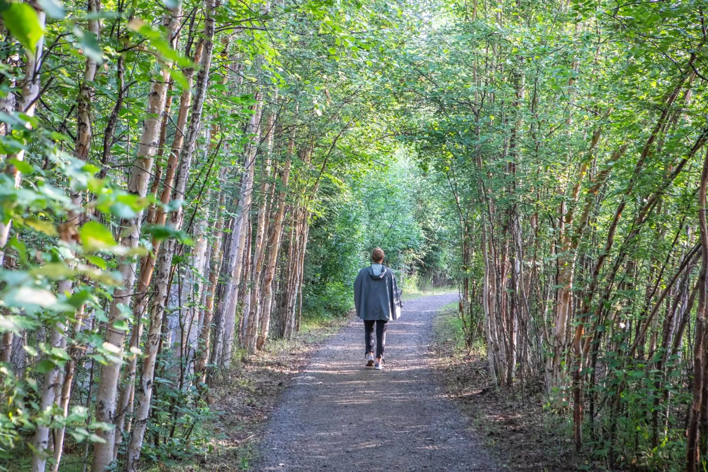 People in Wedgewood Resort