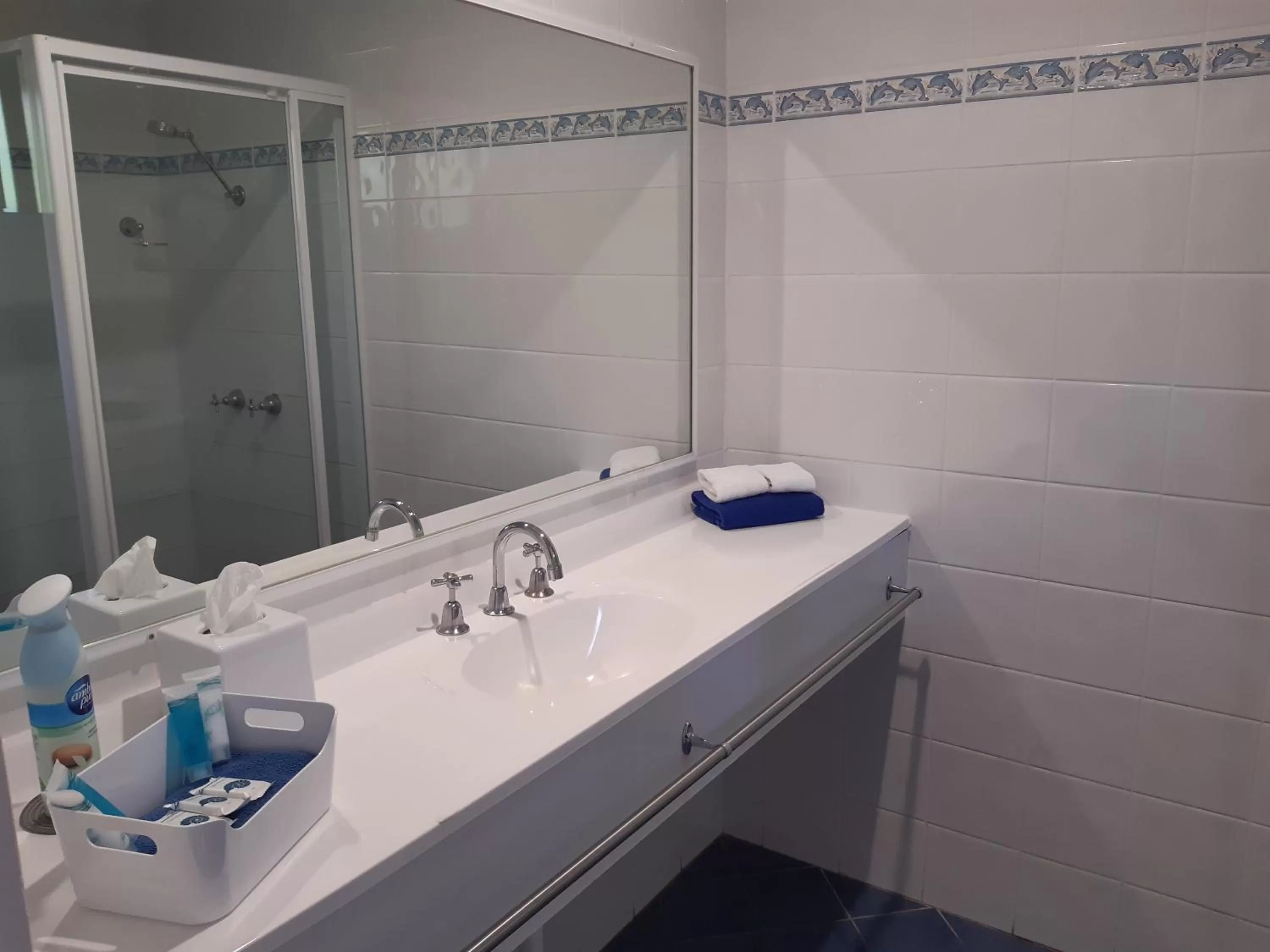 Twin Room in Dolphin Motel