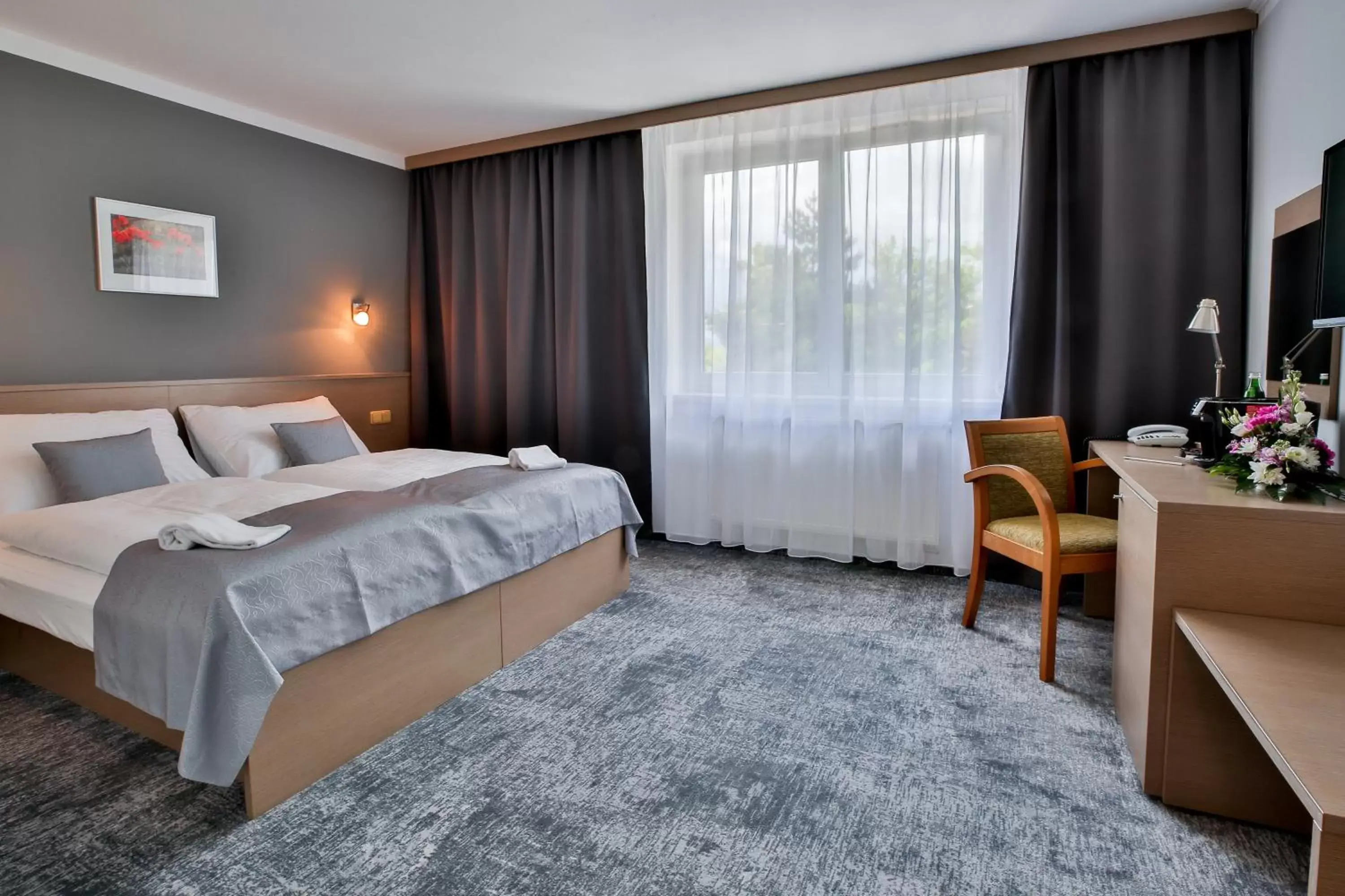 Double or Twin Room - Disability Access in LH Parkhotel Hluboka Nad Vltavou Congress & Wellness Double or Twin Room - Disability Access in LH Parkhotel Hluboka Nad Vltavou Congress & Wellness