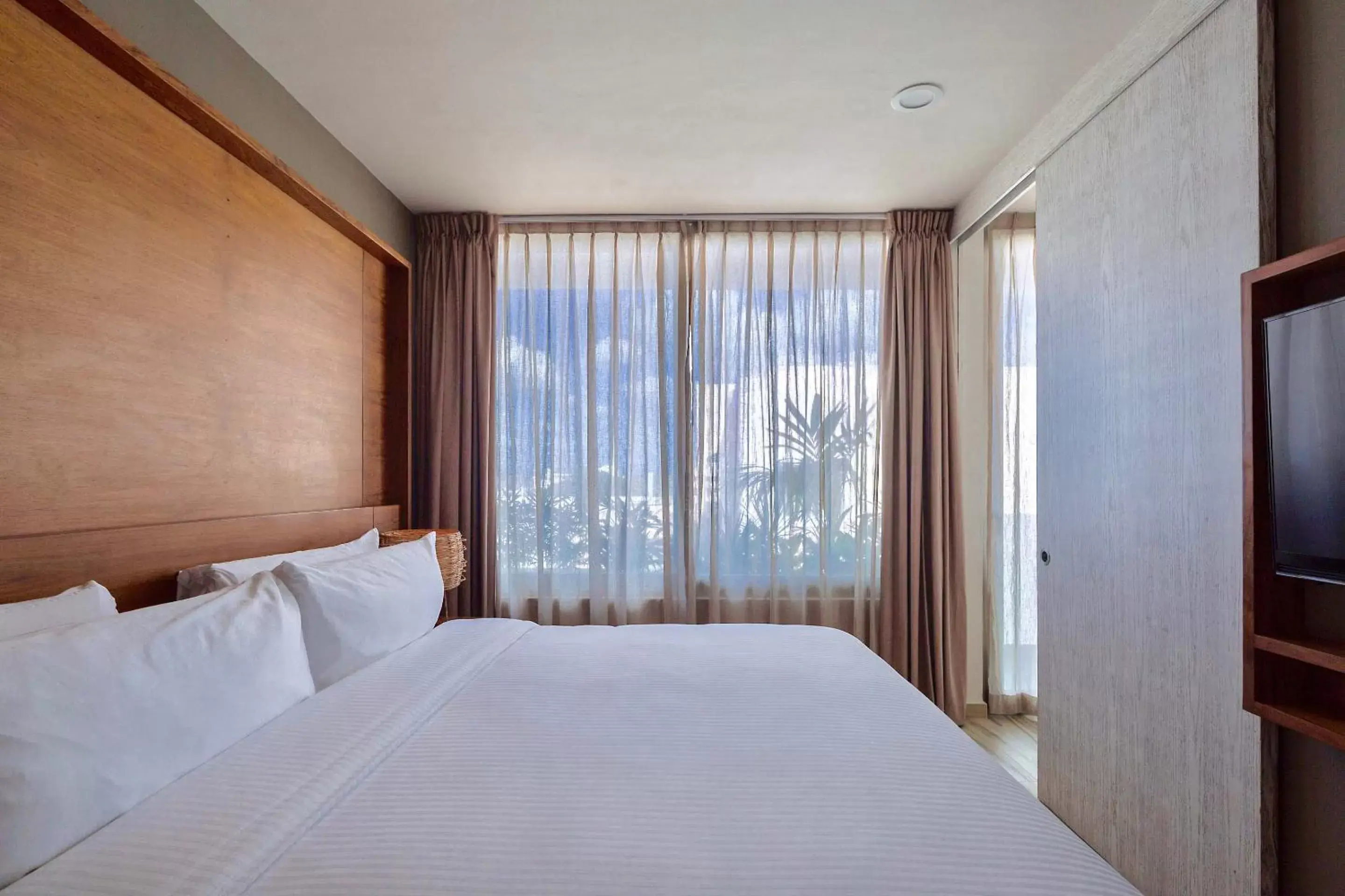 Newport Premium Plus in Newport House Playa Boutique Hotel Newport Premium Plus in Newport House Playa Boutique Hotel