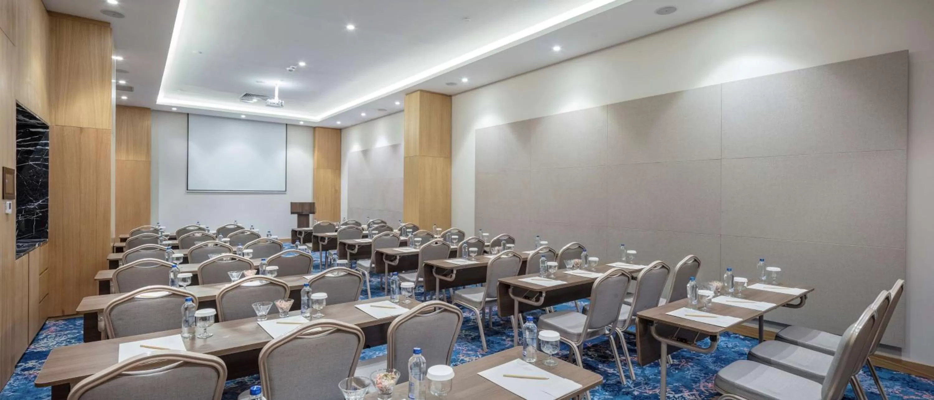 Meeting/conference room in Hilton Garden Inn Erzurum