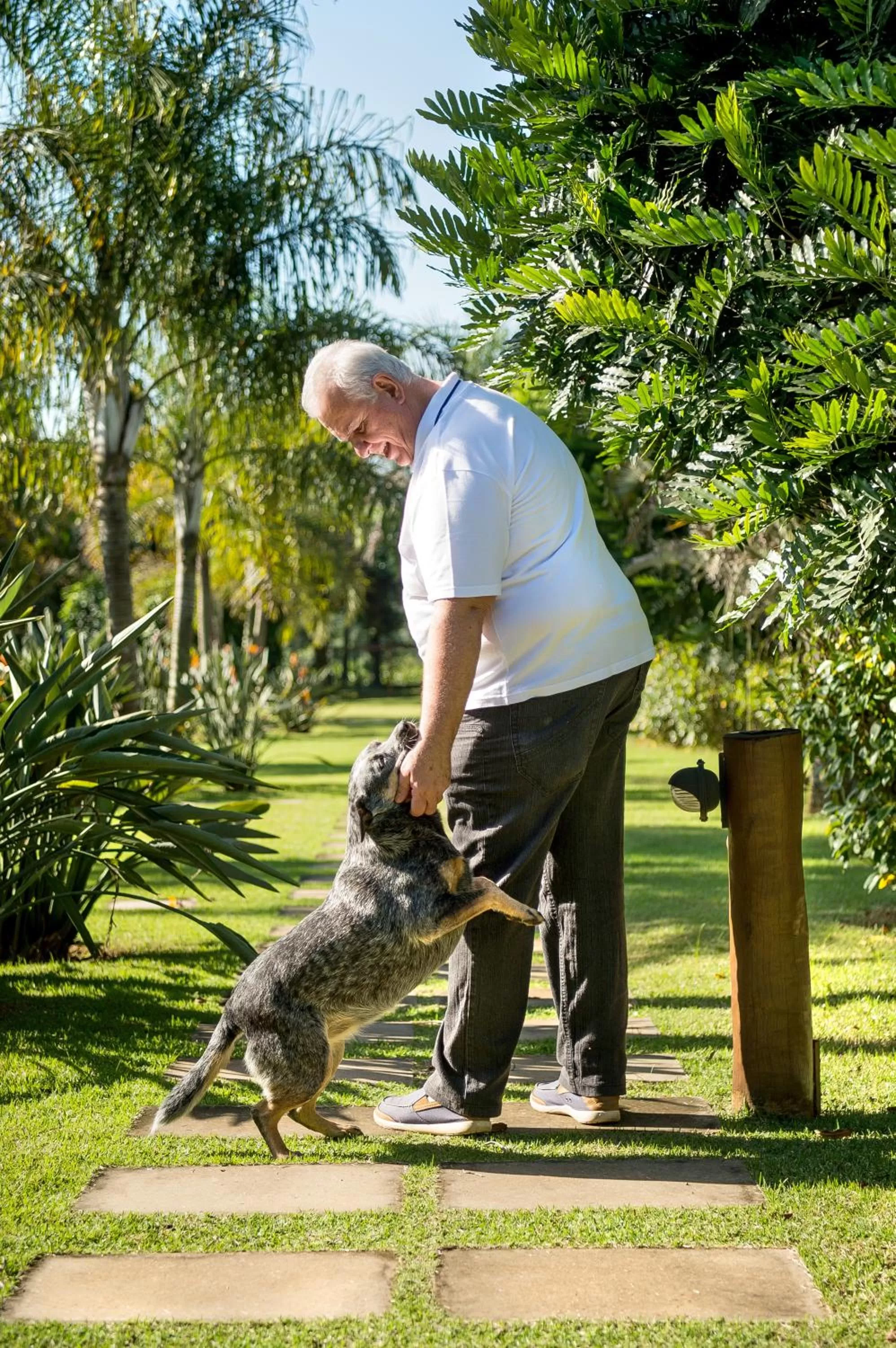 Garden view in Pousada Paiol