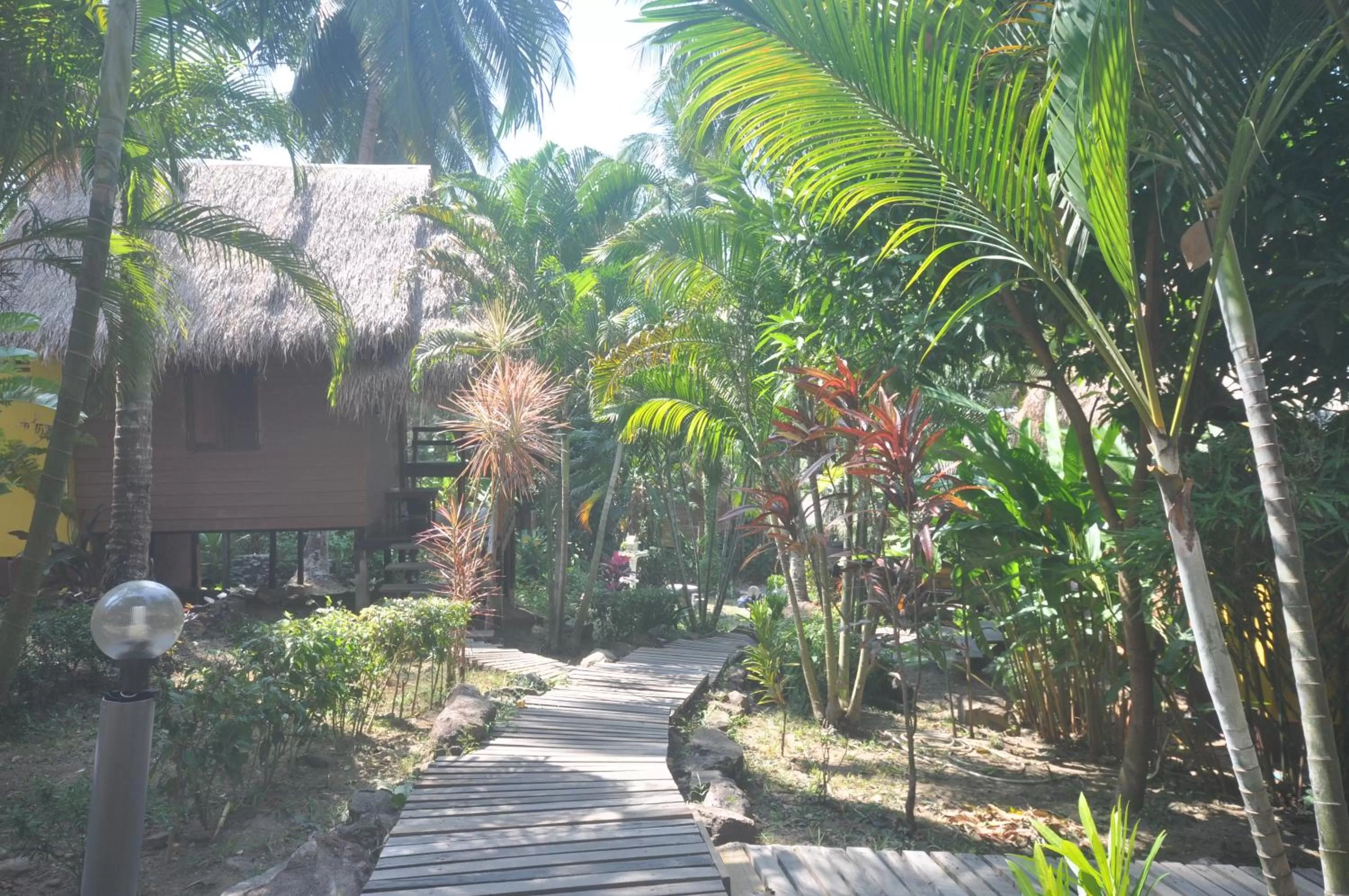 Garden view in LITTLE EDEN Bungalows